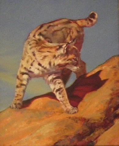  Switchback Cat 
Oil on panel
20 x 16 inches
