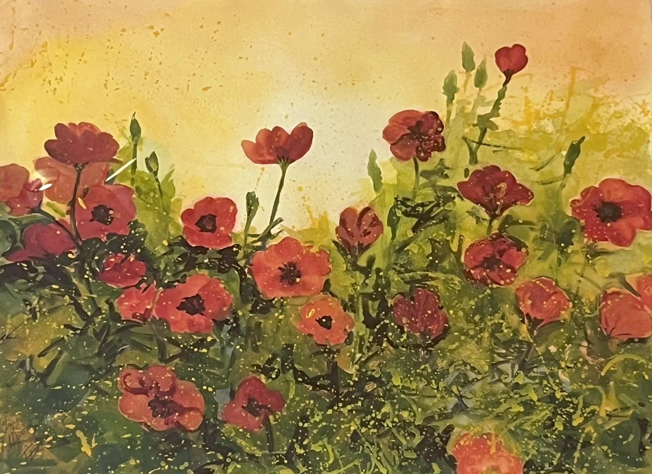  Poppies 
Watercolor
22 x 29 ½ inches