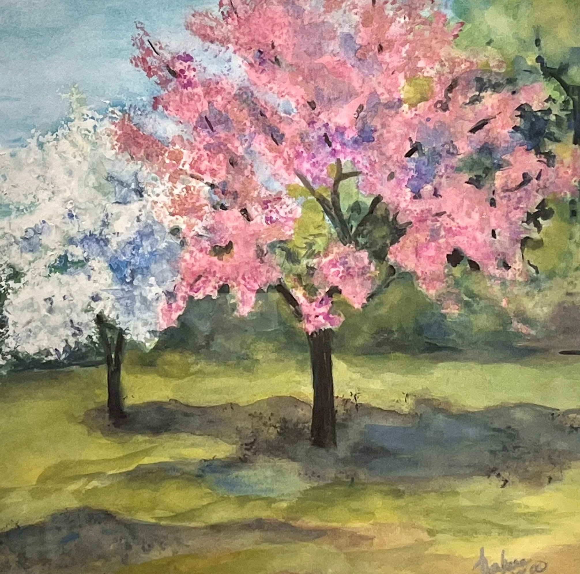  Cherry Blossom, St. Louis 
Watercolor
19 x 19 inches