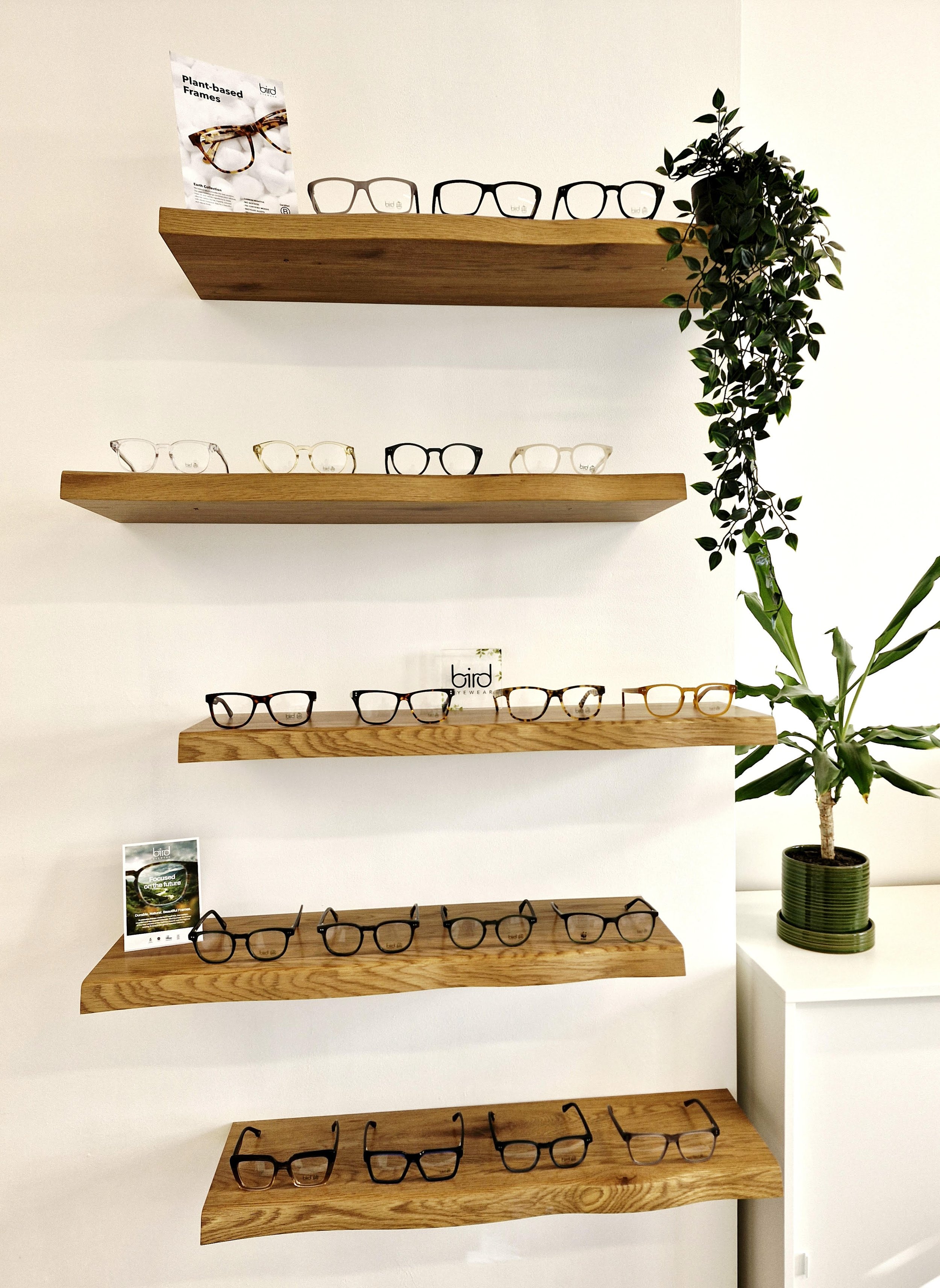 Display of sustainable eyewear range from Bird Eyewear