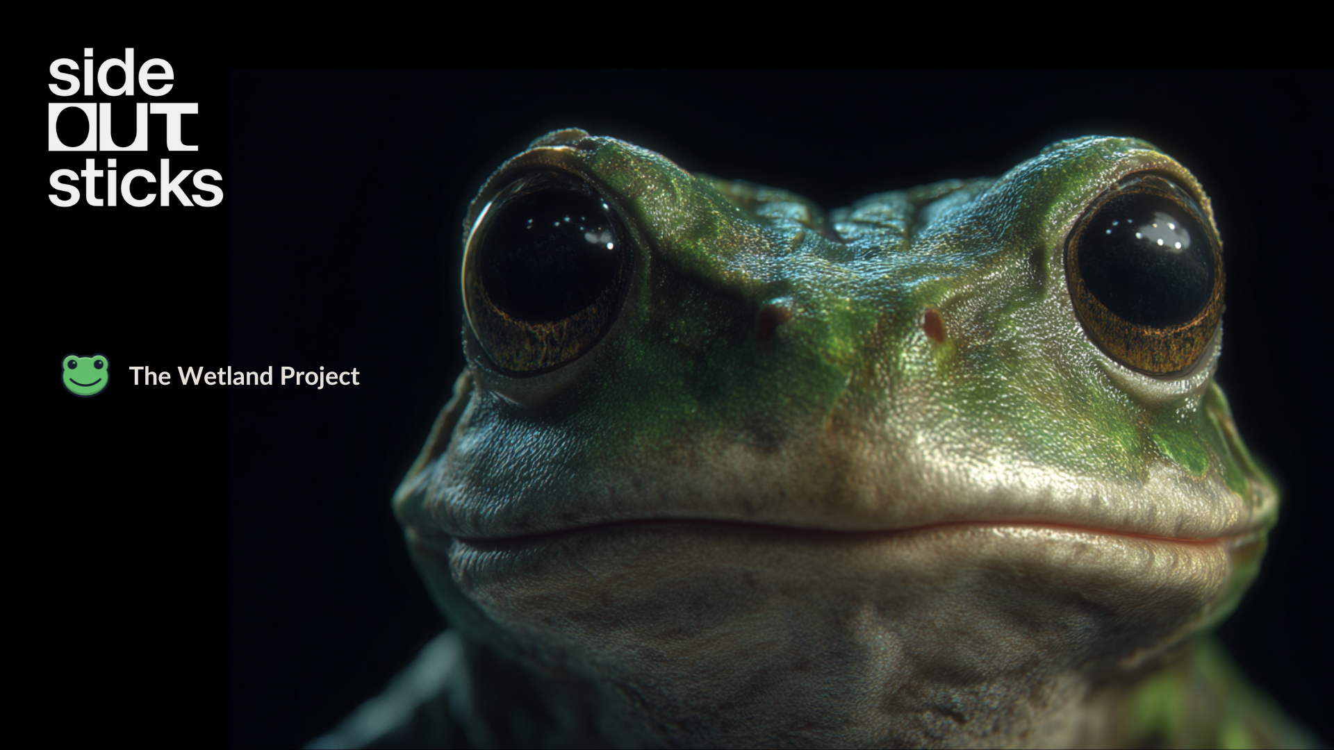 Close-up photograph of a frog's face, showing its large, dark eyes and textured green skin. The background is dark, emphasizing the frog's features.