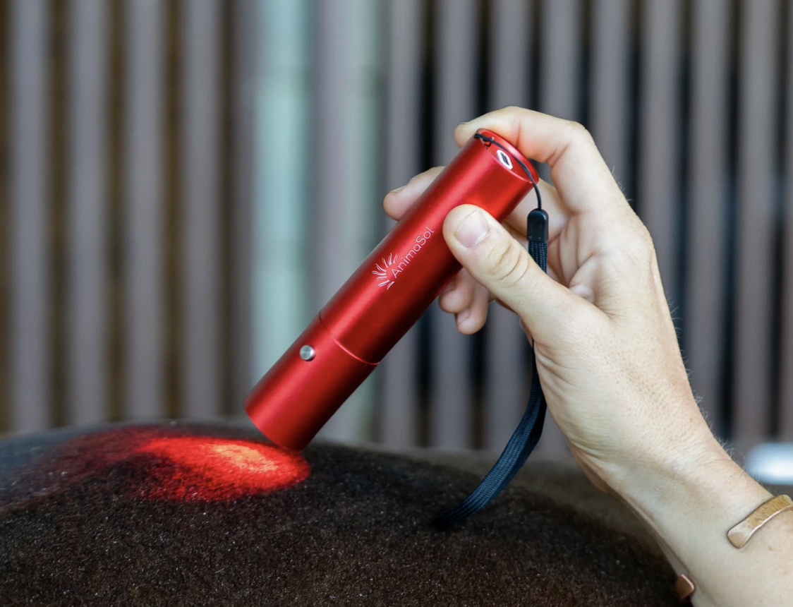 Red and Near-Infrared Light Therapy Torch