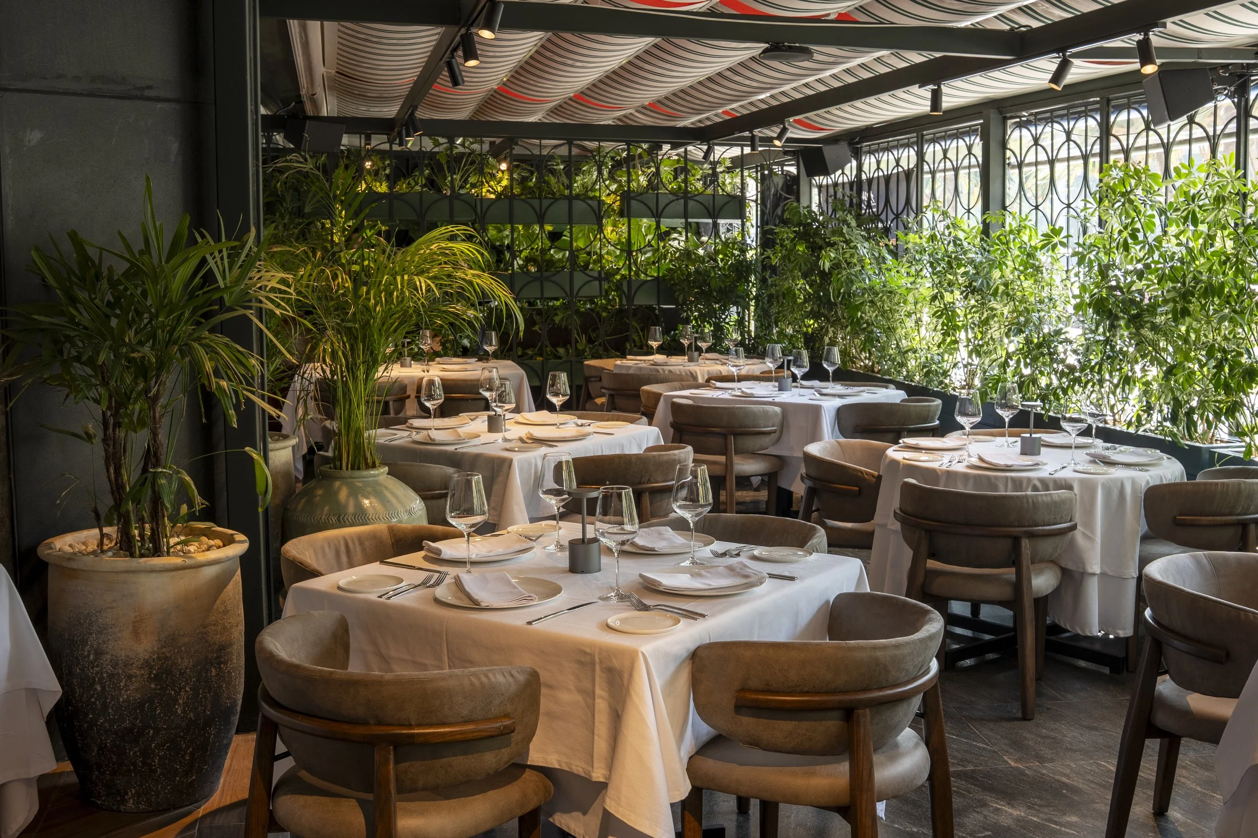 Elegant restaurant dining area with round tables covered in white tablecloths, set with wine glasses, plates, and cutlery, surrounded by beige cushioned chairs, and decorated with large potted plants and greenery, with a bright windowed wall and deco