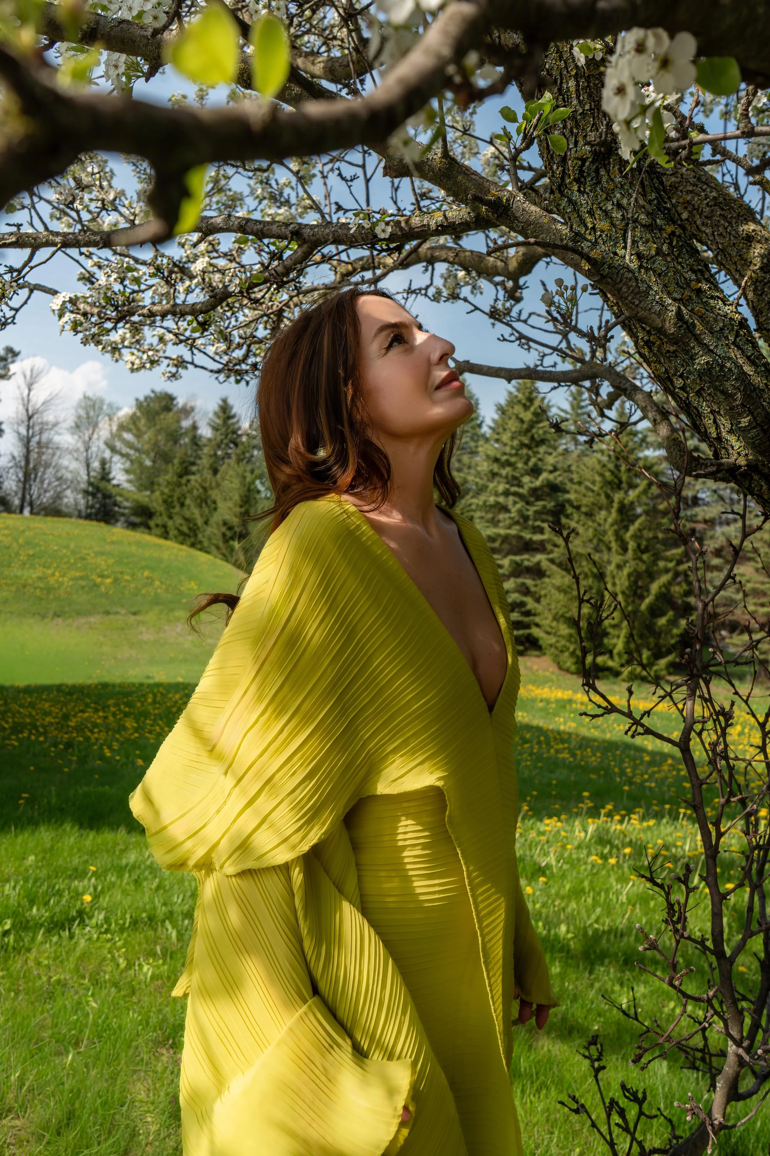 A woman in a flowing yellow dress stands outdoors near a blooming tree, looking up at the branches with white blossoms. The background features a grassy field with yellow flowers, trees, and a partly cloudy sky.