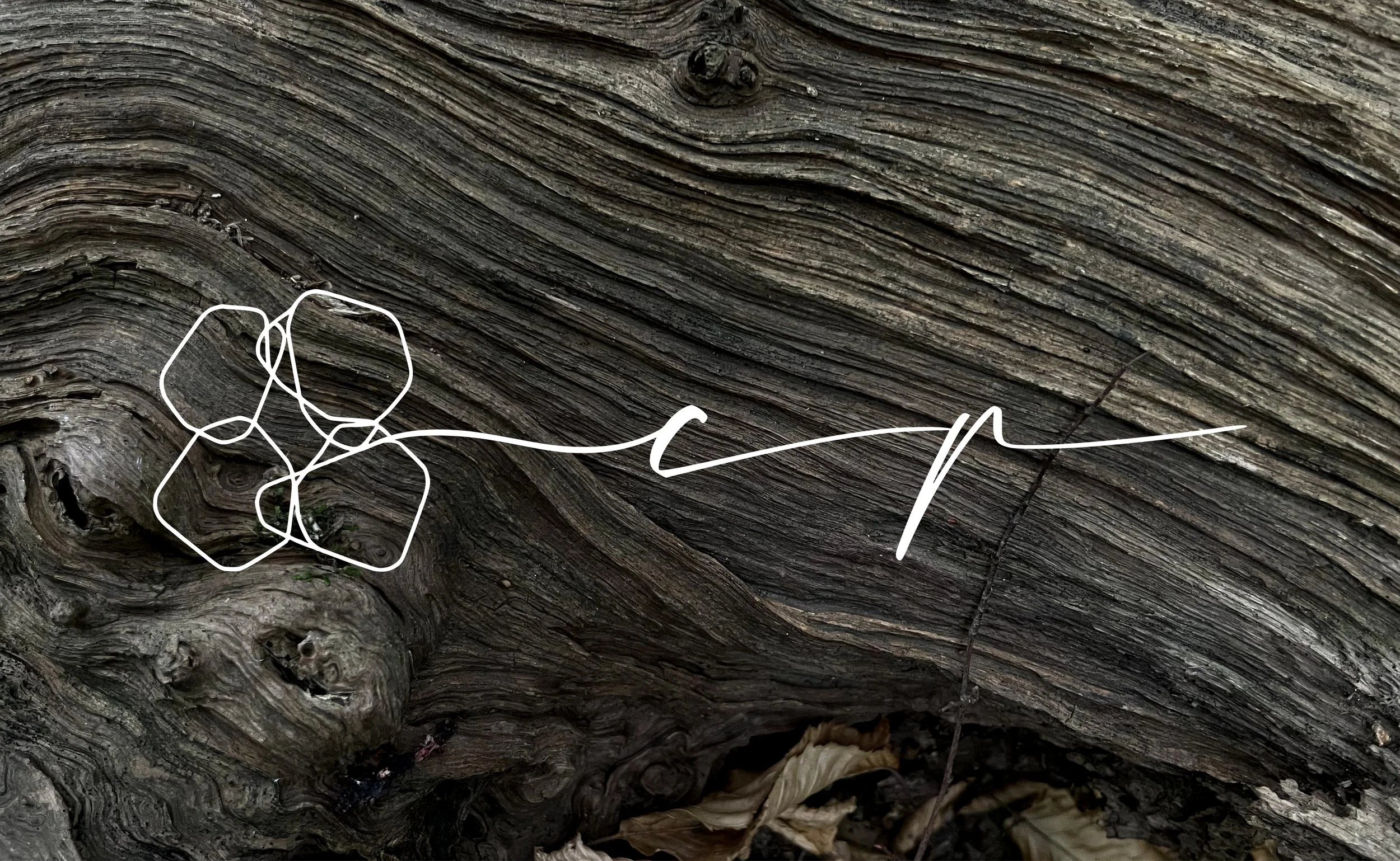 Crimson Puppy flower shop logo in white line illustration on textured wood background