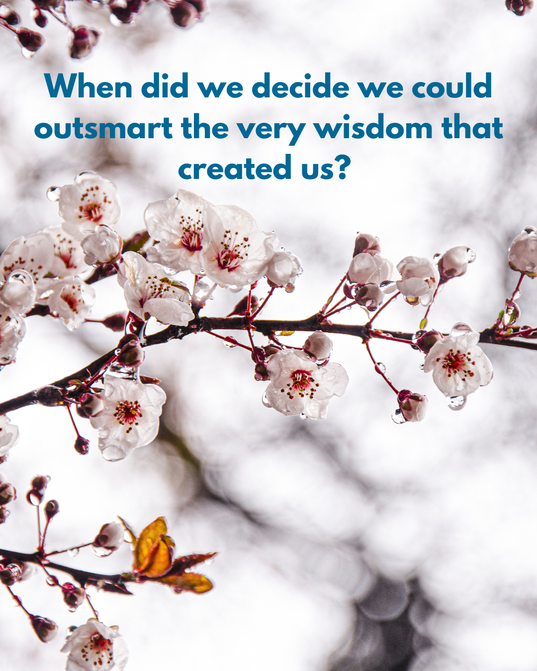 When “Aging Gracefully” Becomes a Marketing Lie