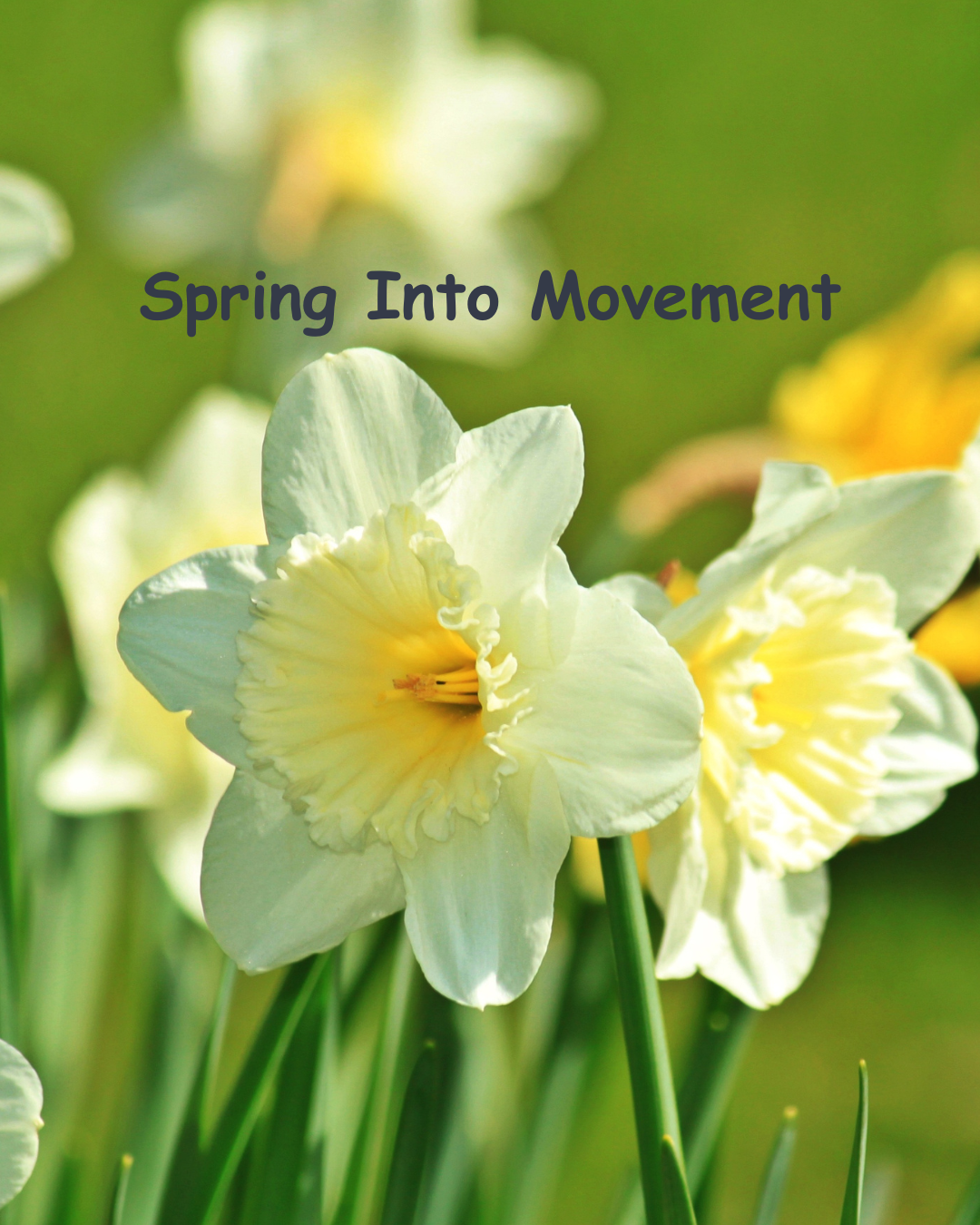 Spring Is a Season of Movement