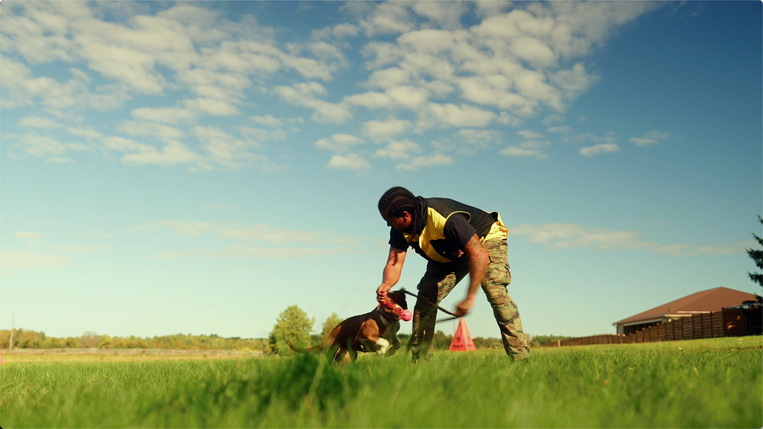 A man in camo pants and a black and yellow shirt training a dog on a grassy field under a blue sky with scattered clouds.