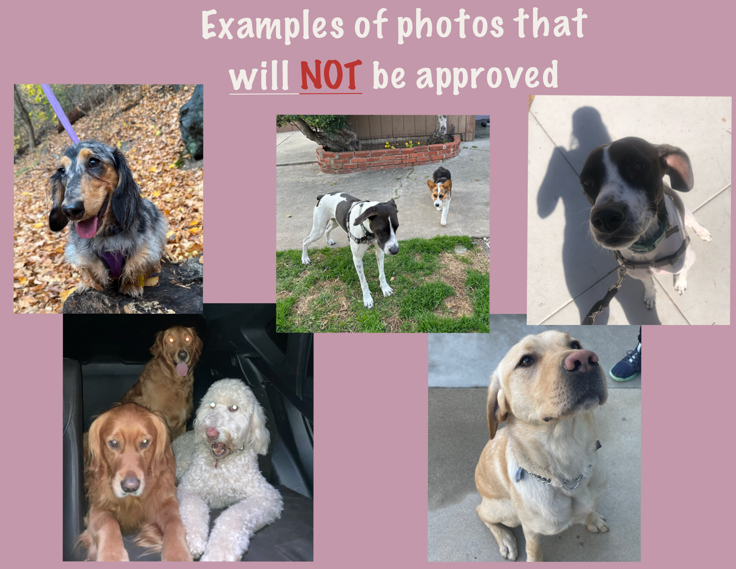 Untitled_Artwork 10.png