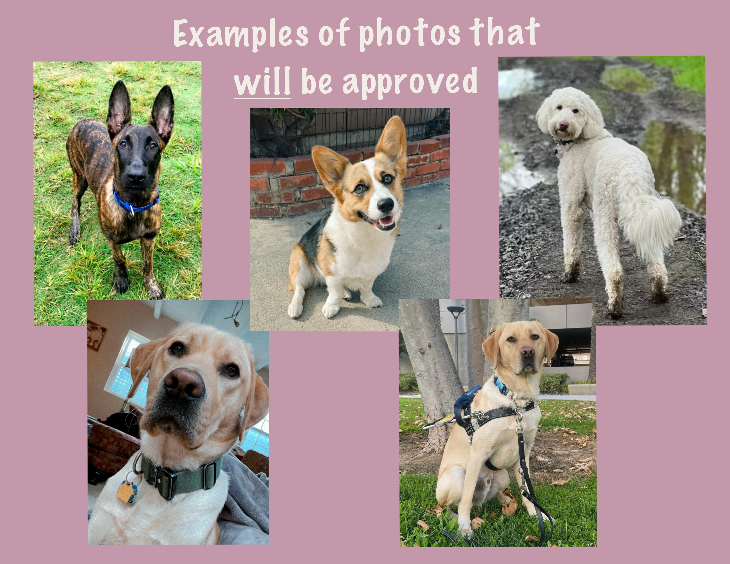 Untitled_Artwork 11.png