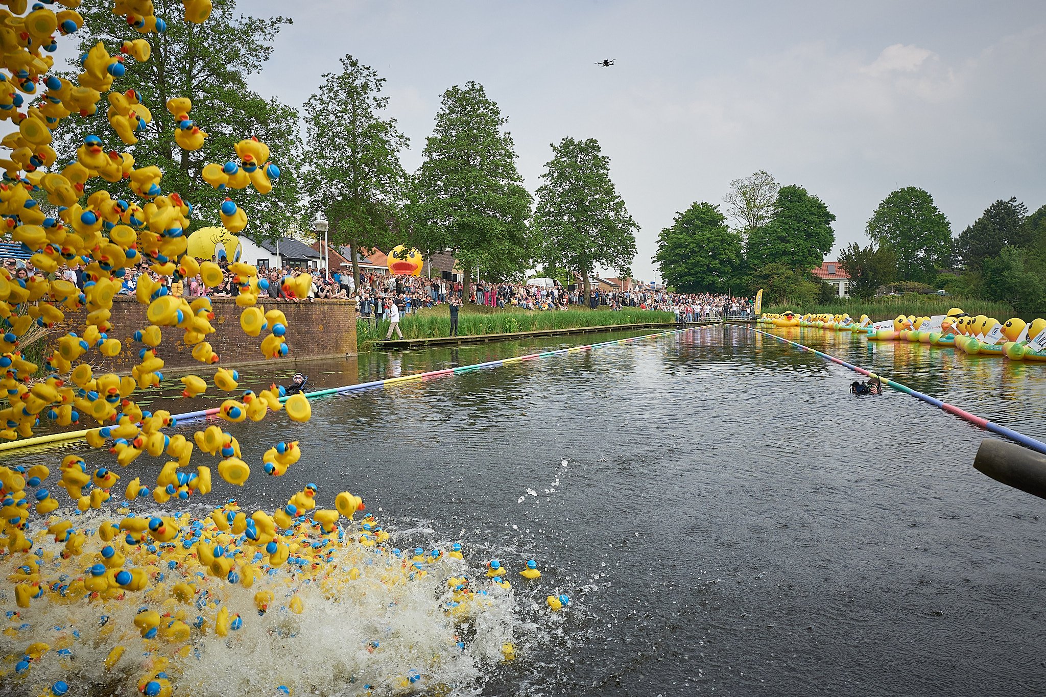 Veel gele rubber eenden zwemmen in een rivier bij een druk plein met mensen, bomen en kleurrijke decoraties.