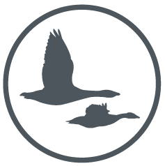 de Zeeuwse Alliantie