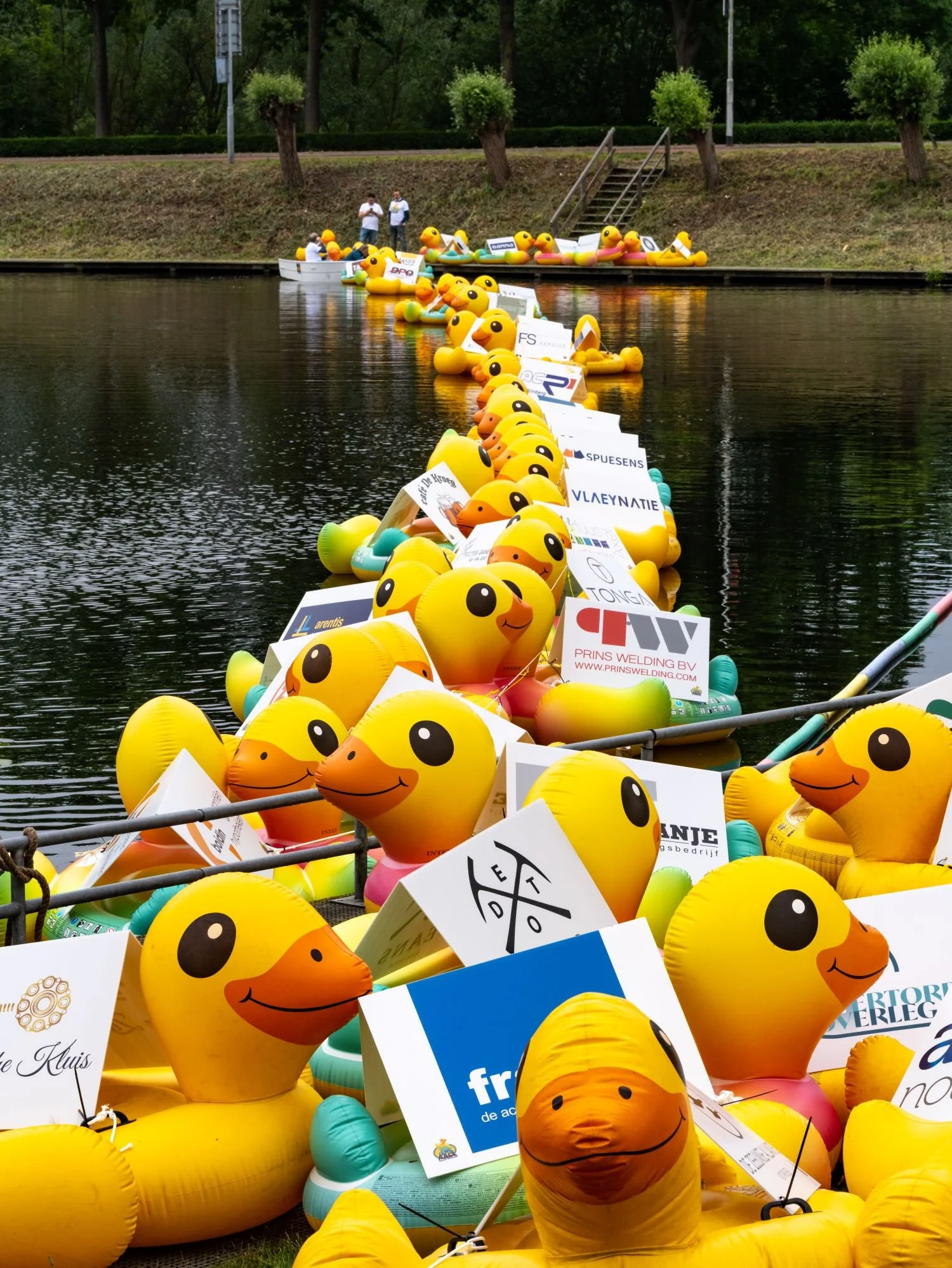 Grote groep gele rubberen eenden met smiley gezichten, vastgemaakt aan een steiger op een rivier, met reclameborden op de eenden en enkele mensen op de achtergrond.