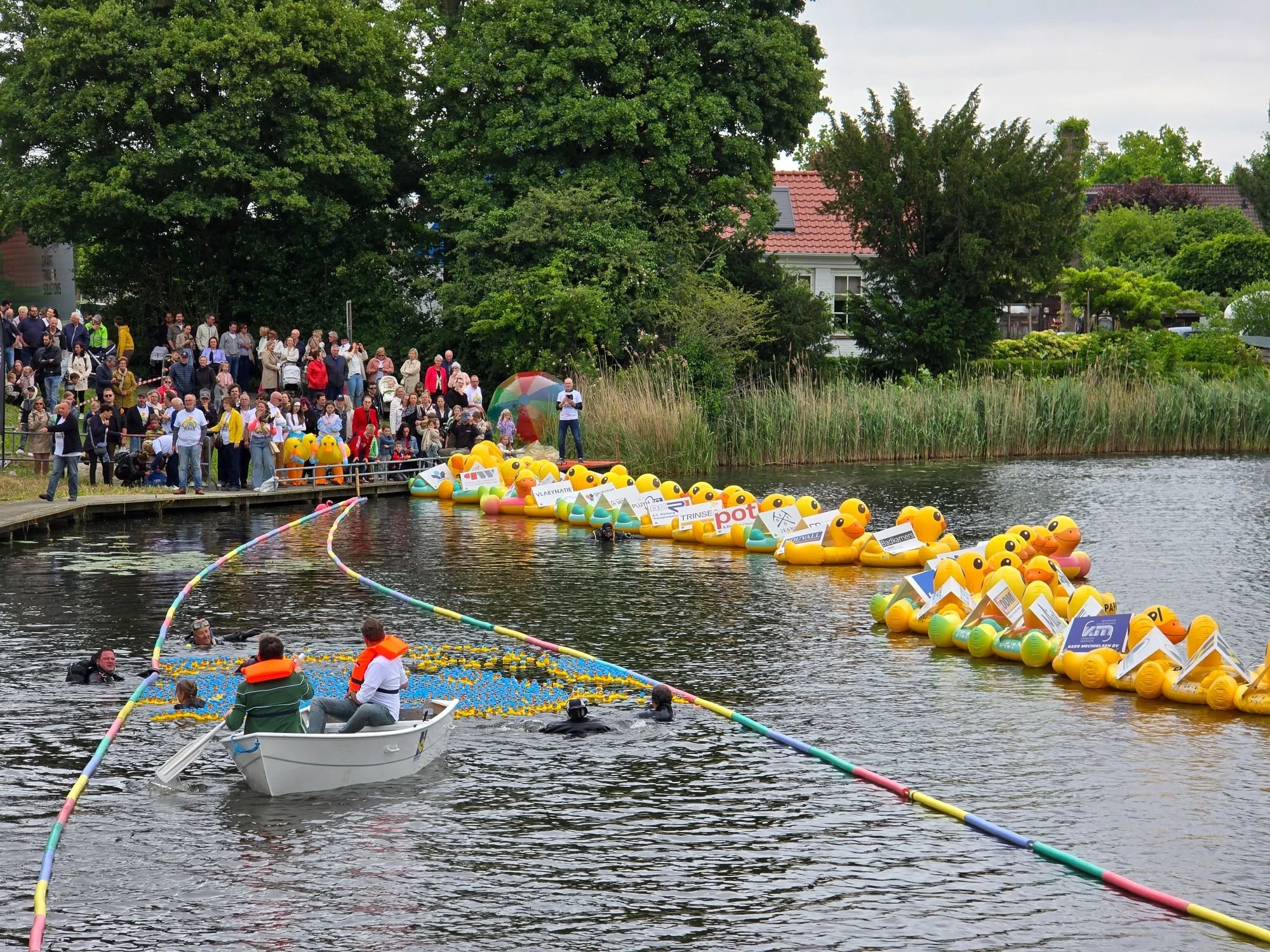 Een groep mensen verzameld zich aan de oever van een water, met een aantal mensen in een klein wit bootje en wetsuits in het water. Een lijn van grote gele rubberen rubberen eenden en andere dieren met geadverteerde borden drijft op het water. Mensen kijken toe vanaf de oever.