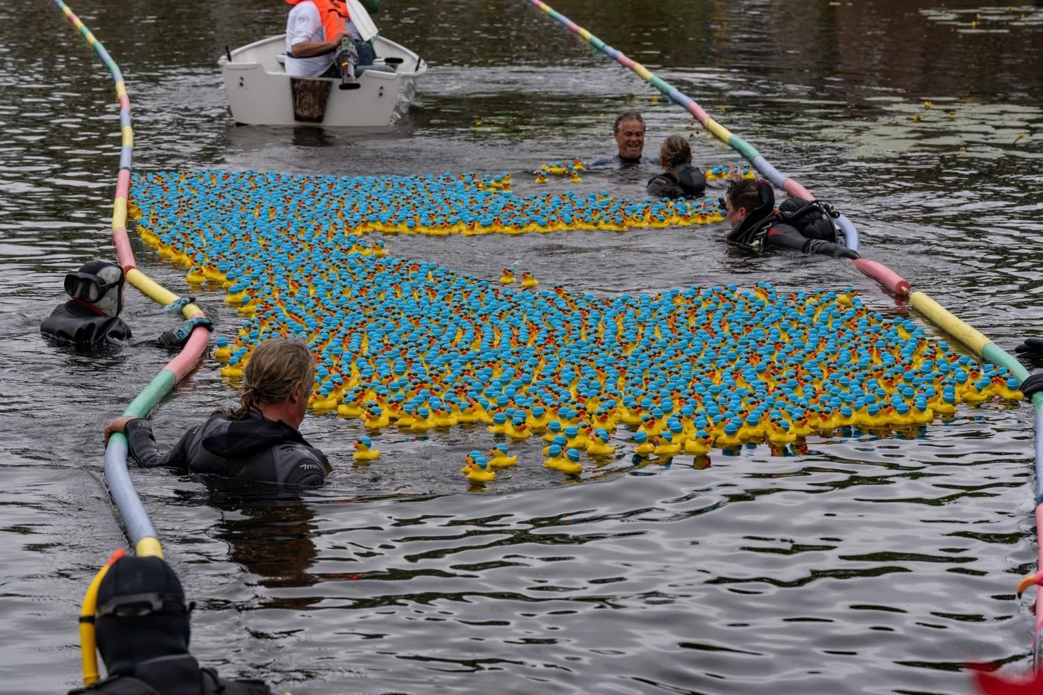 Een groep duikers in het water met een grote drijvende schijnwerper gemaakt van veel kleine rubberen eendjes, en mensen die genieten van het evenement.