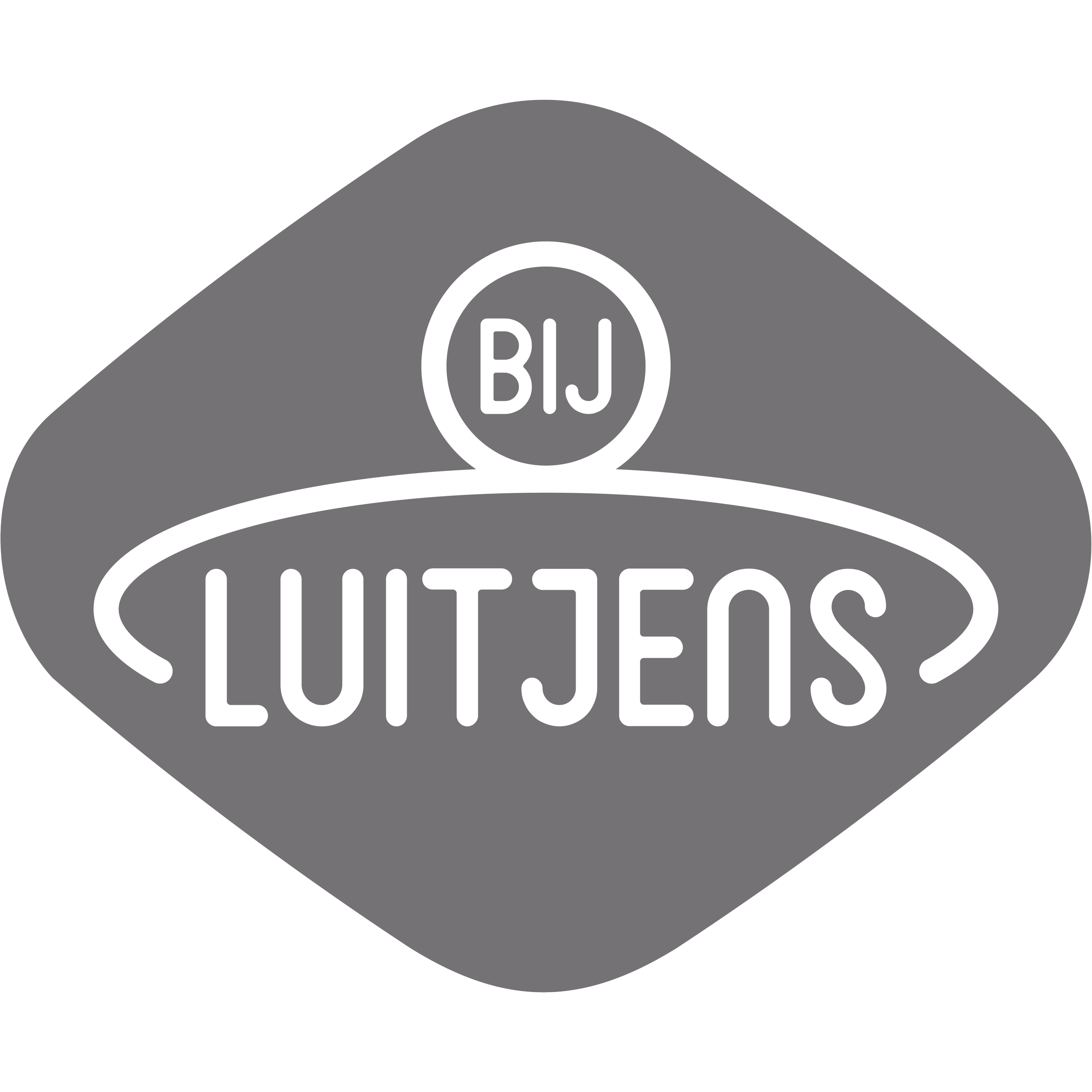 Bij Luitjens