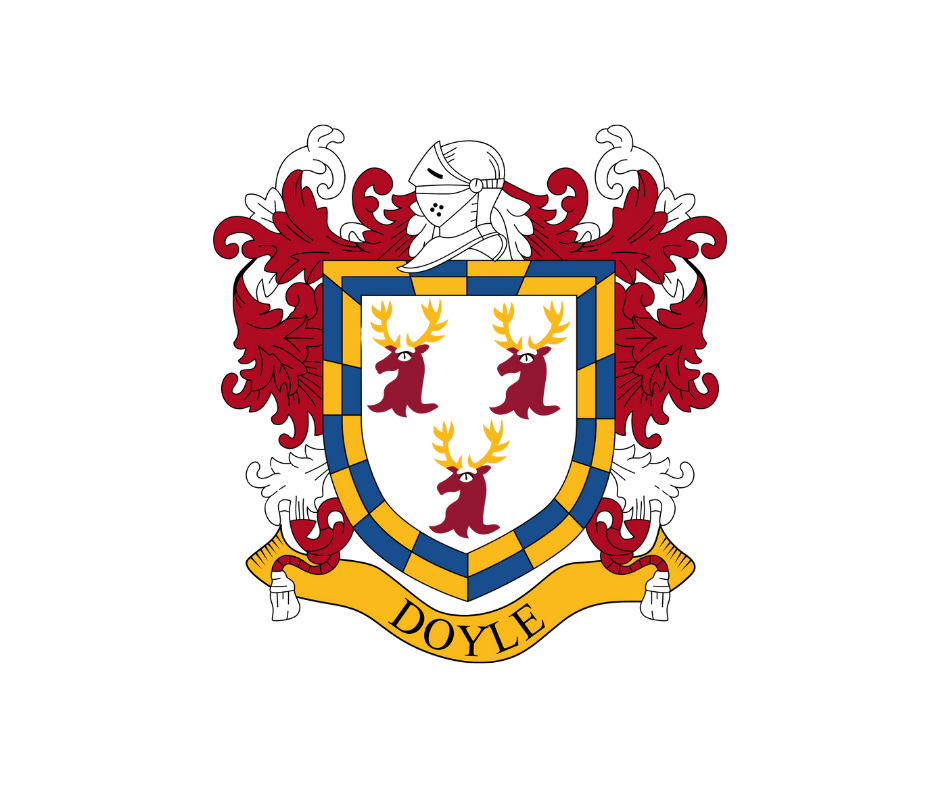 Jack Doyle International Training &amp; Tuition 