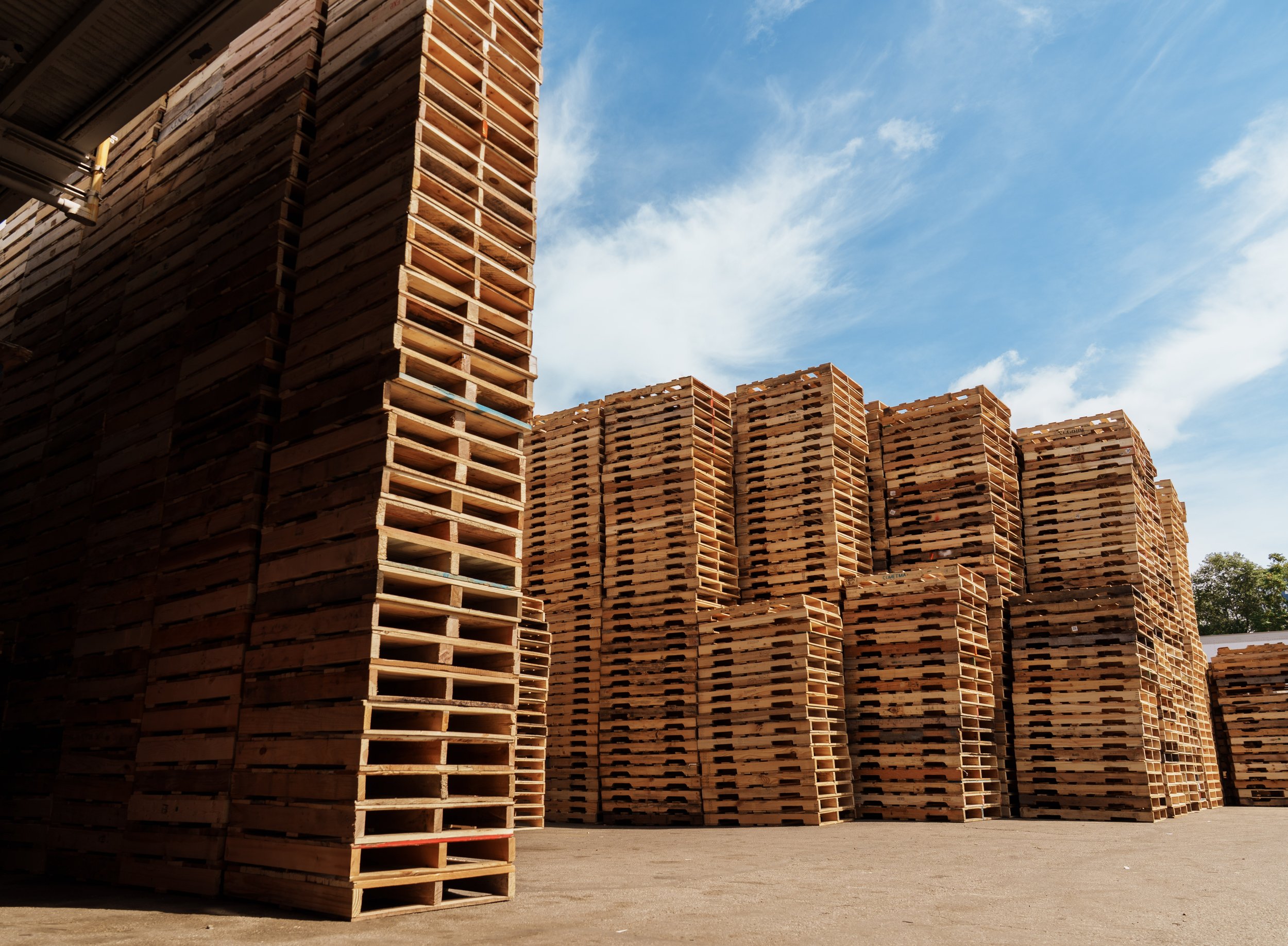 New wood pallets stacked at Lobo Pallets Chicago facility.jpg