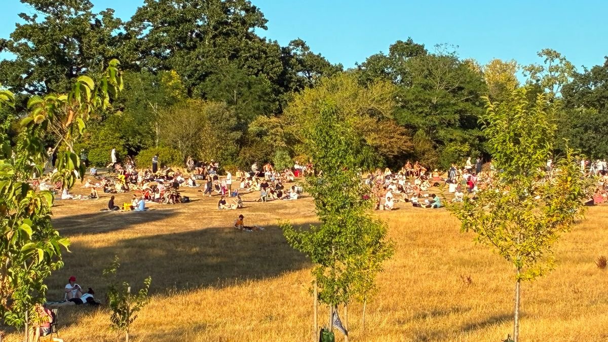 Park users satisfaction survey