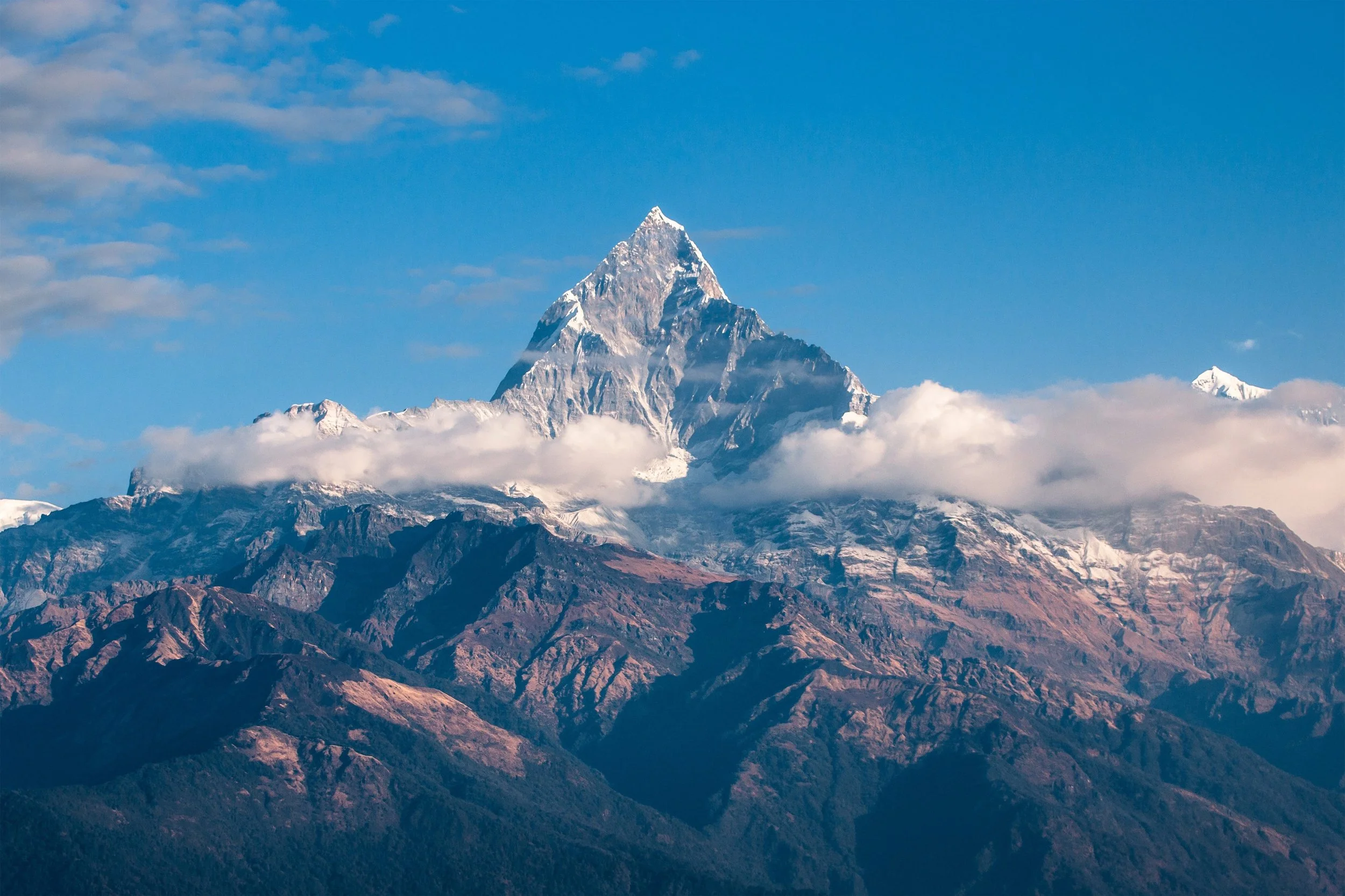 The Role of Conservation in Building a Sustainable Future