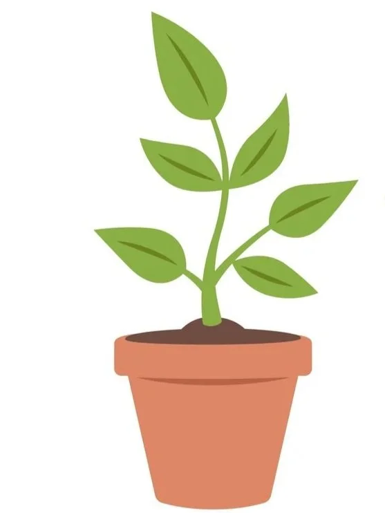 Illustration of a potted plant with green leaves.