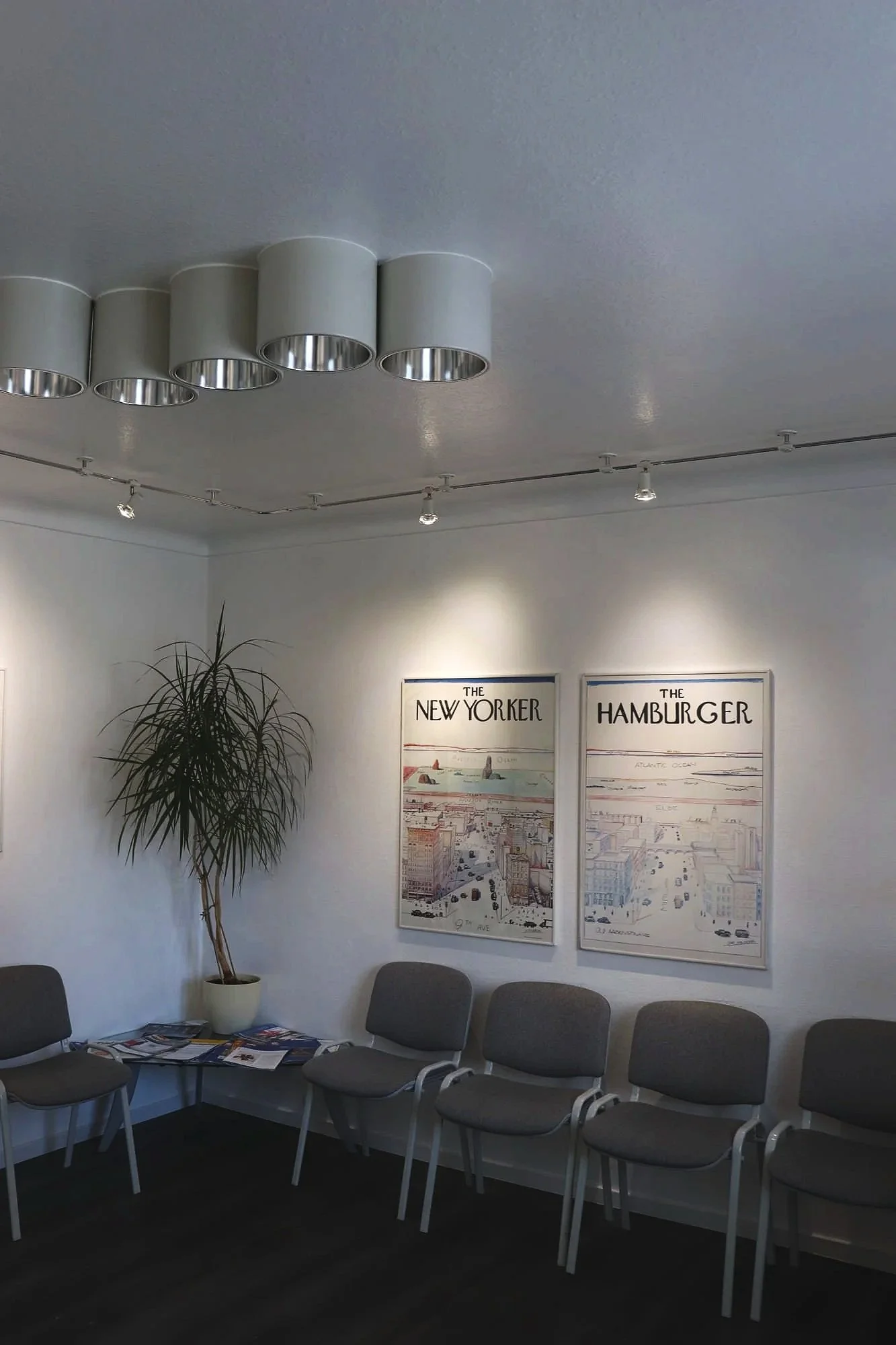 Wartezimmer mit mehreren leeren Stühlen, einem großen Pflanzenkübel, Wandbildern über Manhattan und einem Hamburger, und weißen Wänden mit Deckenleuchte.