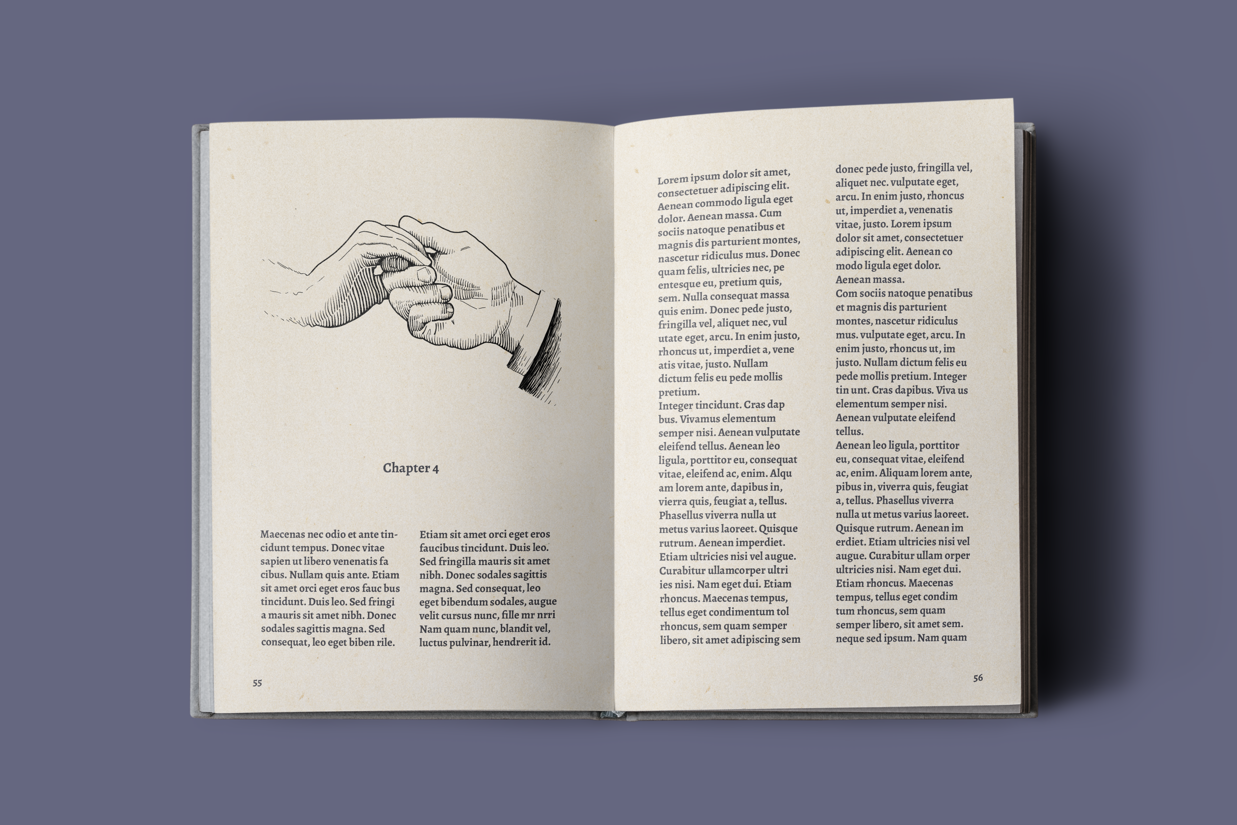 Ch Book Illustration Mockup copy.png