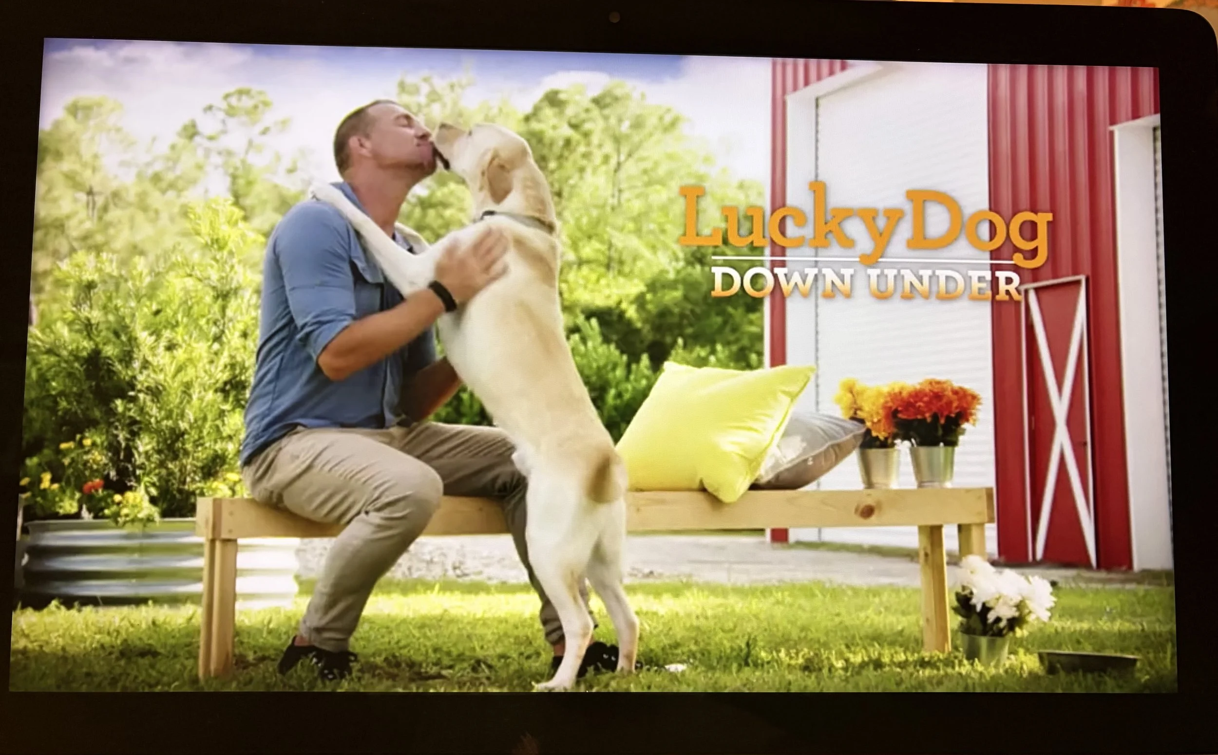 The Lucky Dog Project
