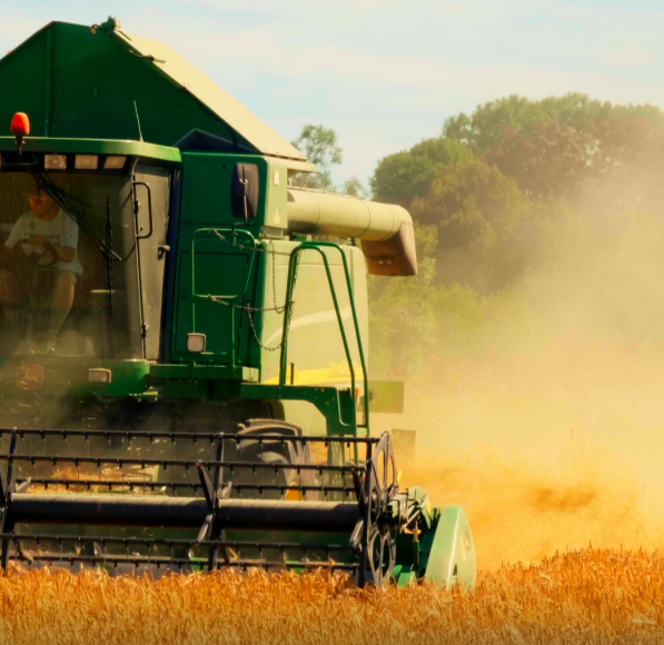 Moissonneuse-batteuse verte récoltant du blé dans un champ