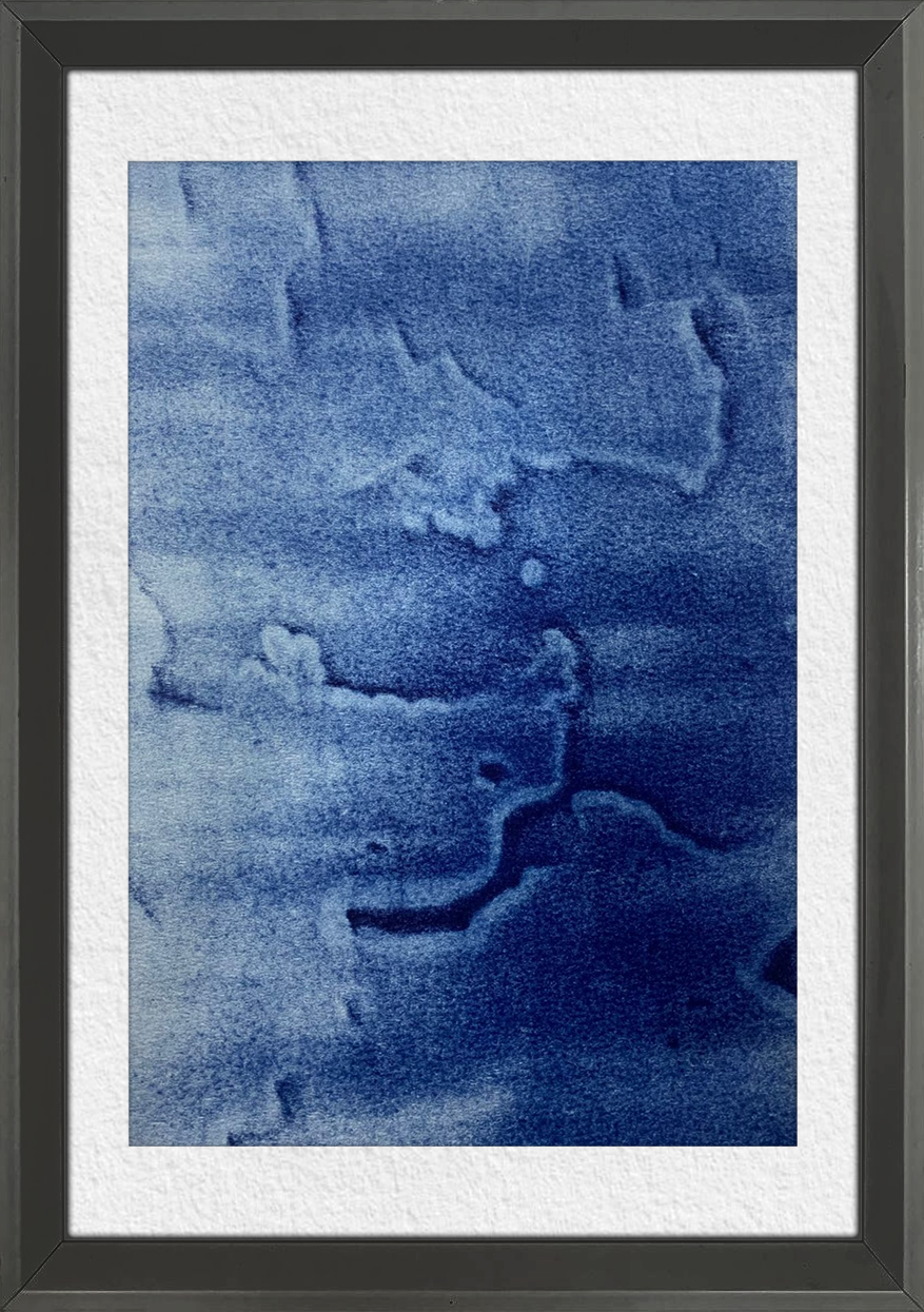 Cyanotype Moment