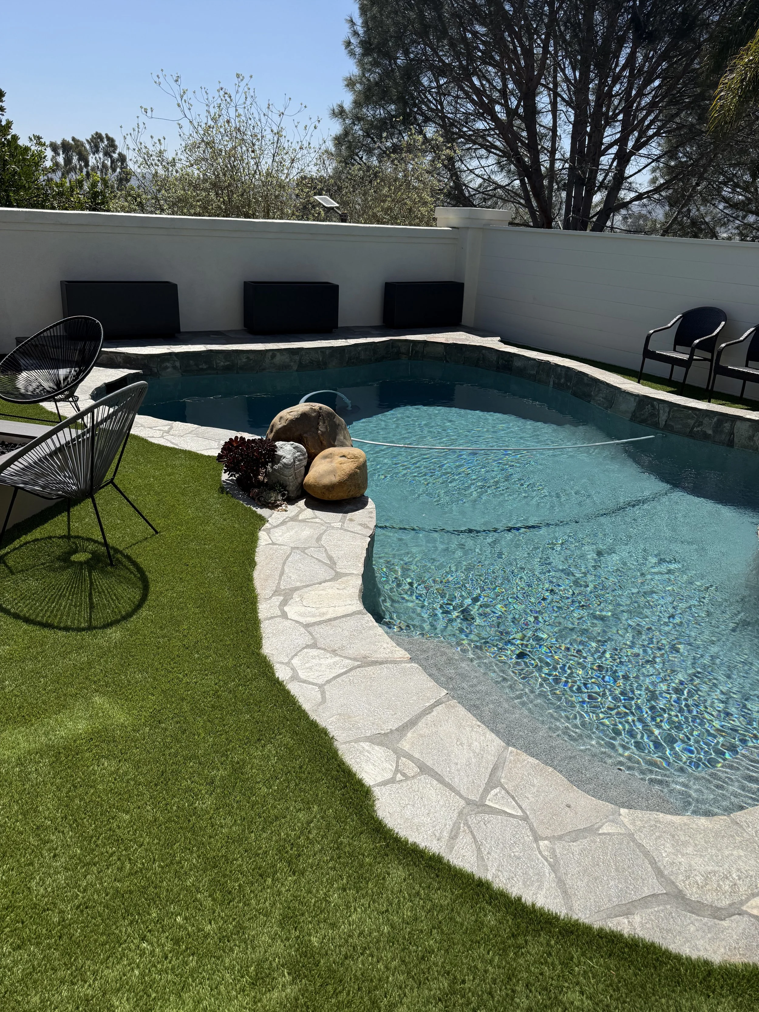 residential backyard swimming pool with natural stone coping and drought resistant landscaping