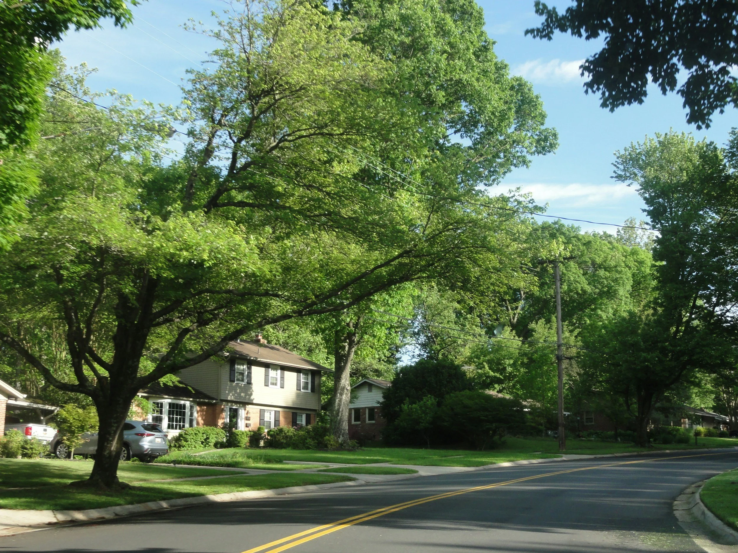 Living in St. Matthews KY: A Neighborhood Guide for Home Buyers