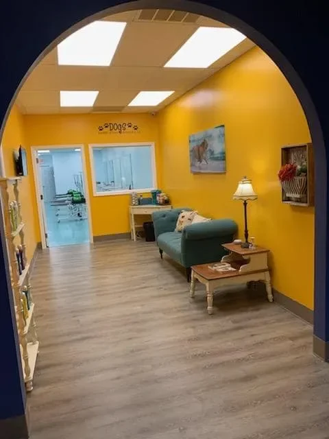 Bows and Bones Pet Grooming