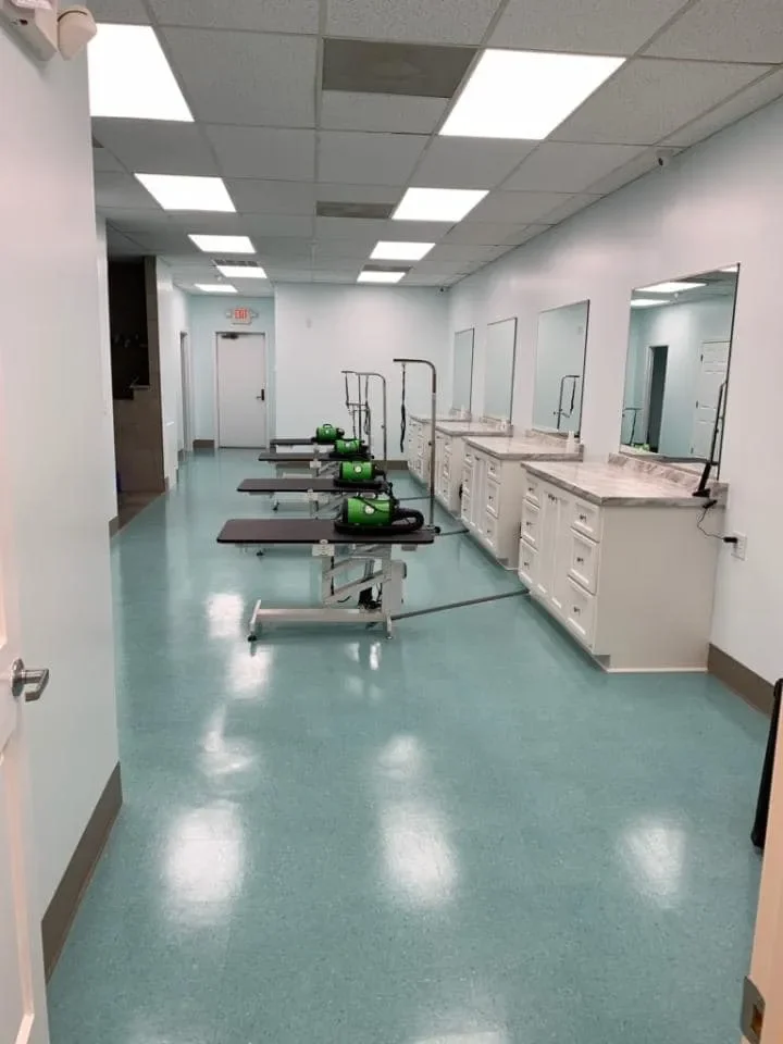 Bows and Bones Pet Grooming