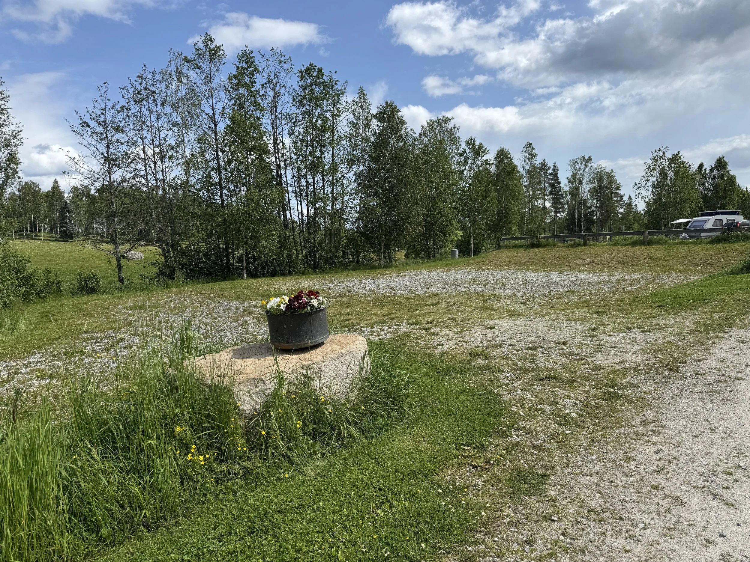 En blomkruka med blommor på en sten, omgiven av gräs och små gula blommor. Bakom finns en gräsplätt med träd och en parkeringsplats med bilar.