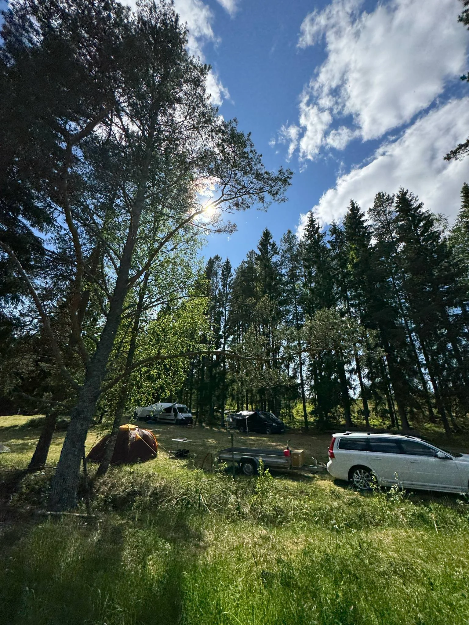 Tält, bilar och campingutrustning i en skogsglänta på en solig dag.