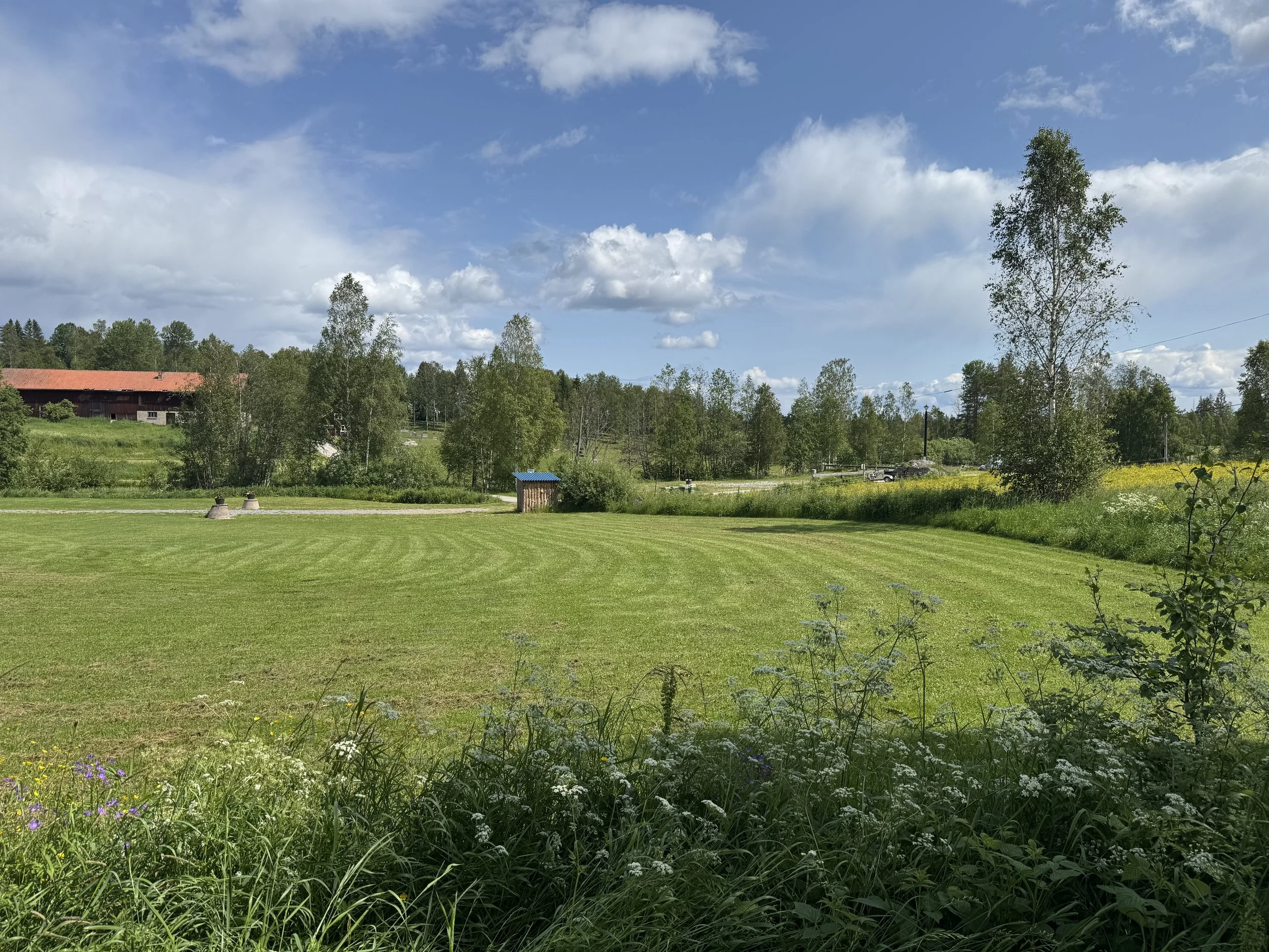 En sommarbild av ett grönt fält med klippt gräs, omgivande träd och en blå himmel med några moln.