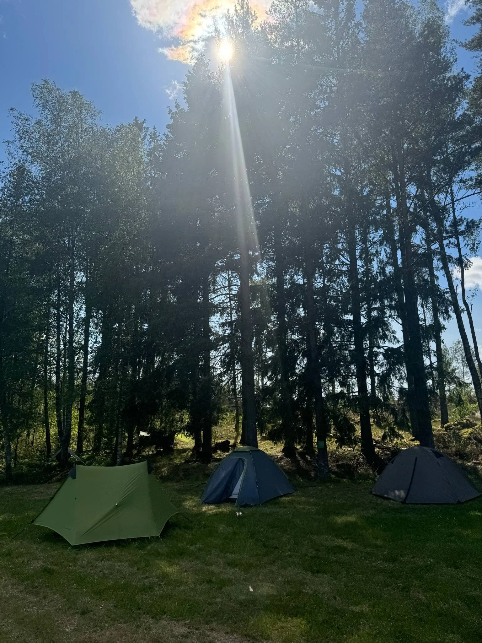 Tre campingtält på gräsmatta framför en skog med många träd och solsken.