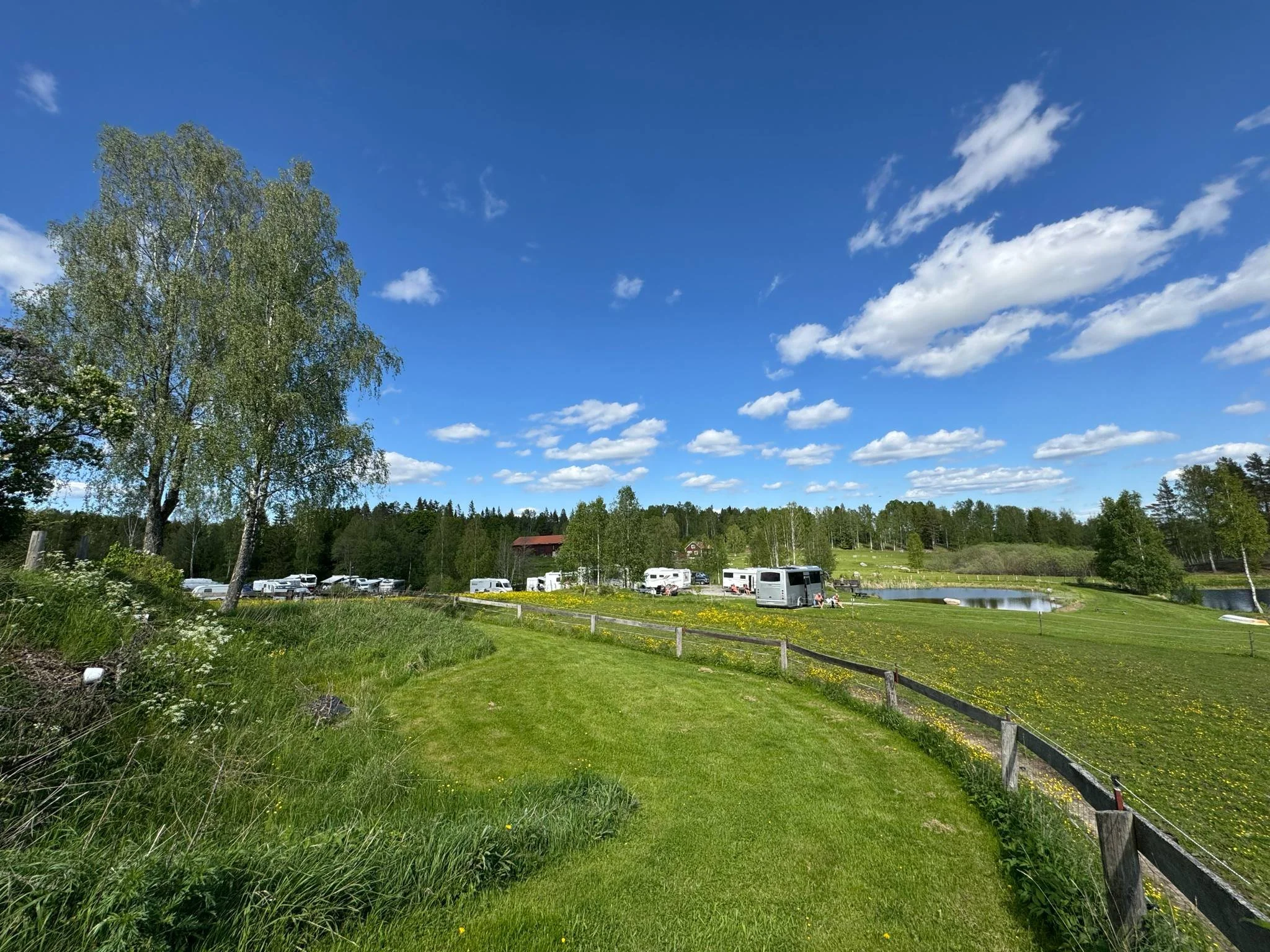 En landskapsbild med grön gräsmatta, ett stort träd till vänster, flera hus i bakgrunden, en liten damm, en blå himmel med vita moln och en rad med husvagnar parkerade längs gräsmattan.