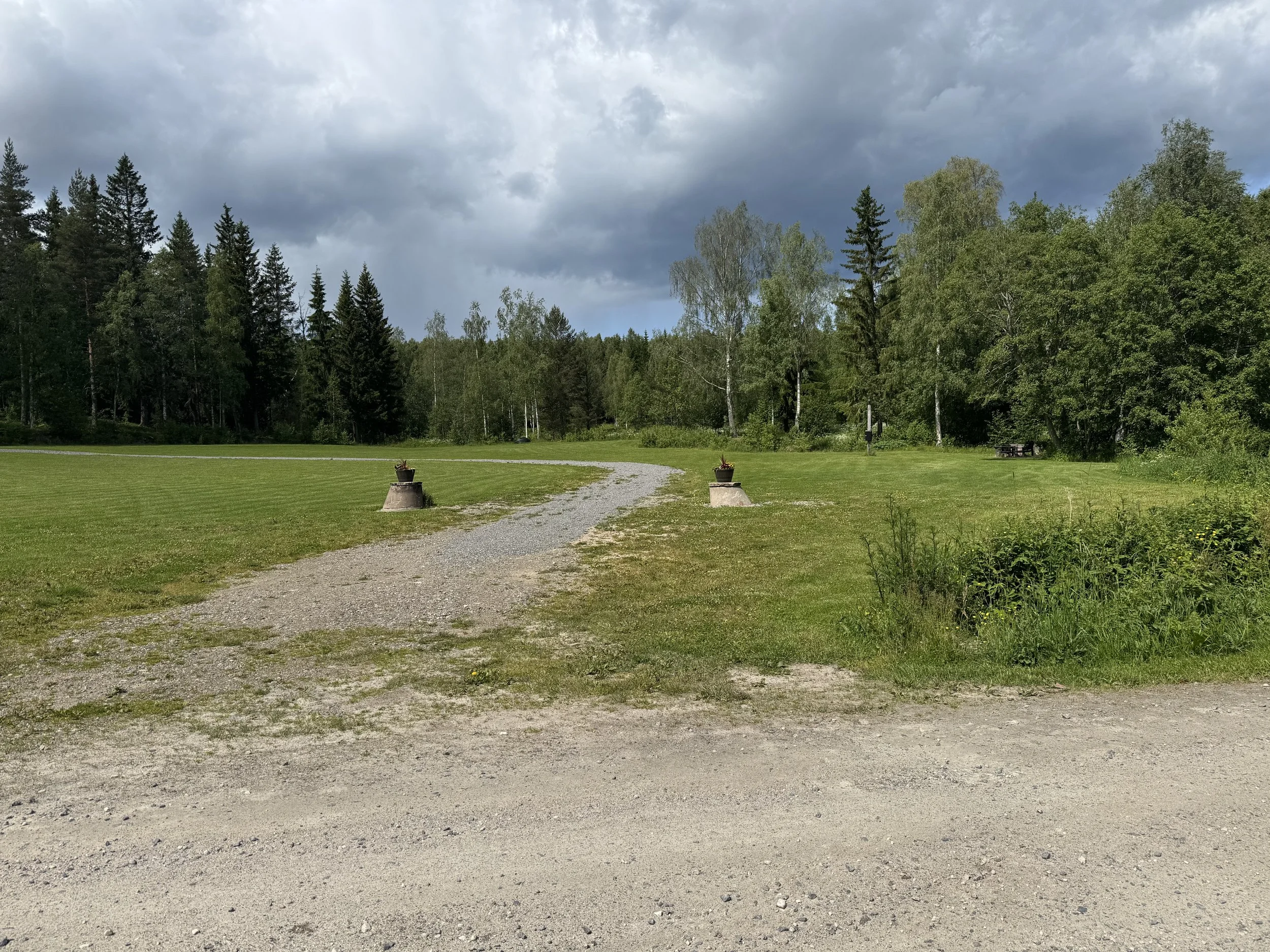En gräsäng med en grusväg som svänger in i en skog av tall- och lövträd under en mulen himmel.