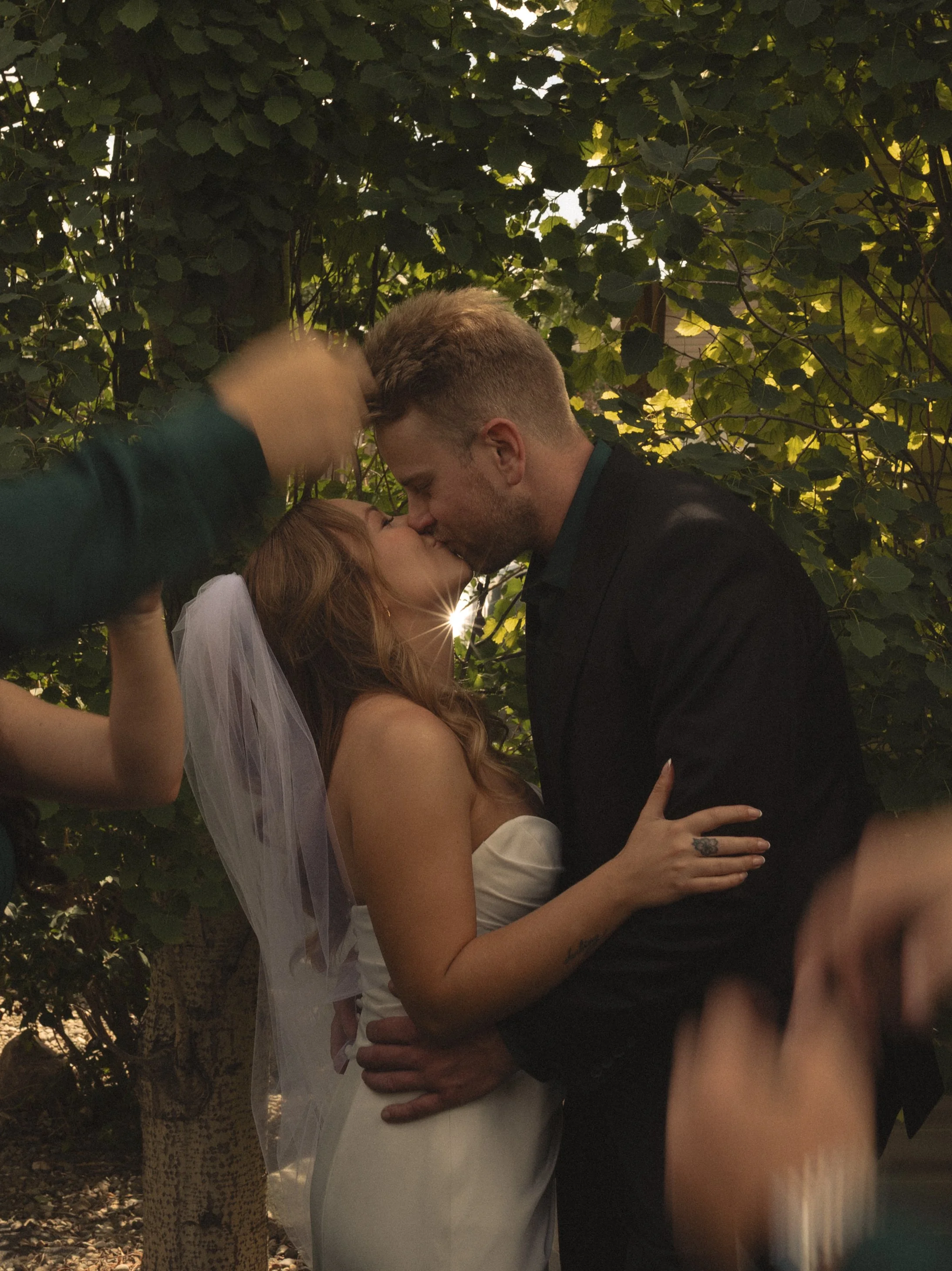 A couple sharing a kiss outdoors, surrounded by greenery. The woman is wearing a white dress and veil, suggesting a wedding. The man is dressed in a black suit. They are holding each other closely, with hands on each other's backs, in a romantic embrace.