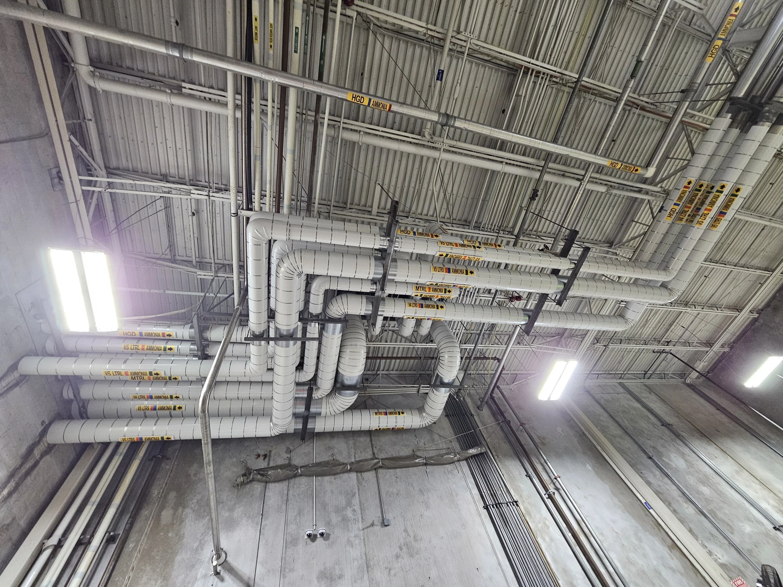 Copy of 20251113_033951.jpg