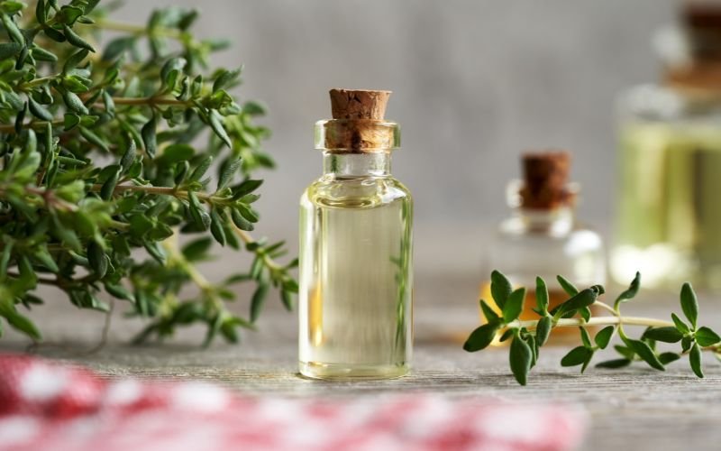 Extraits de Plantes : Qu'est-ce que c'est et Comment les Utiliser au Quotidien ?