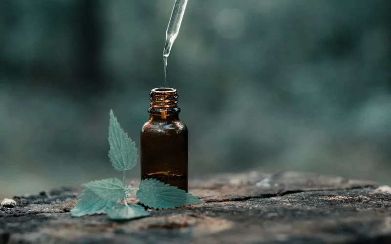 Comment Diluer les Huiles Essentielles : Guide Pratique pour une Utilisation Sécurisée