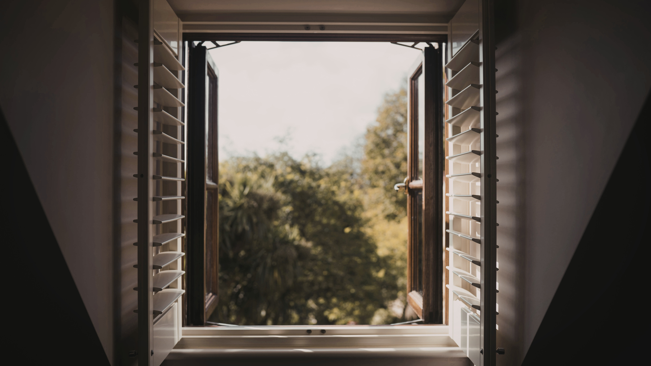Open window with white shutters looking out to trees and sky.