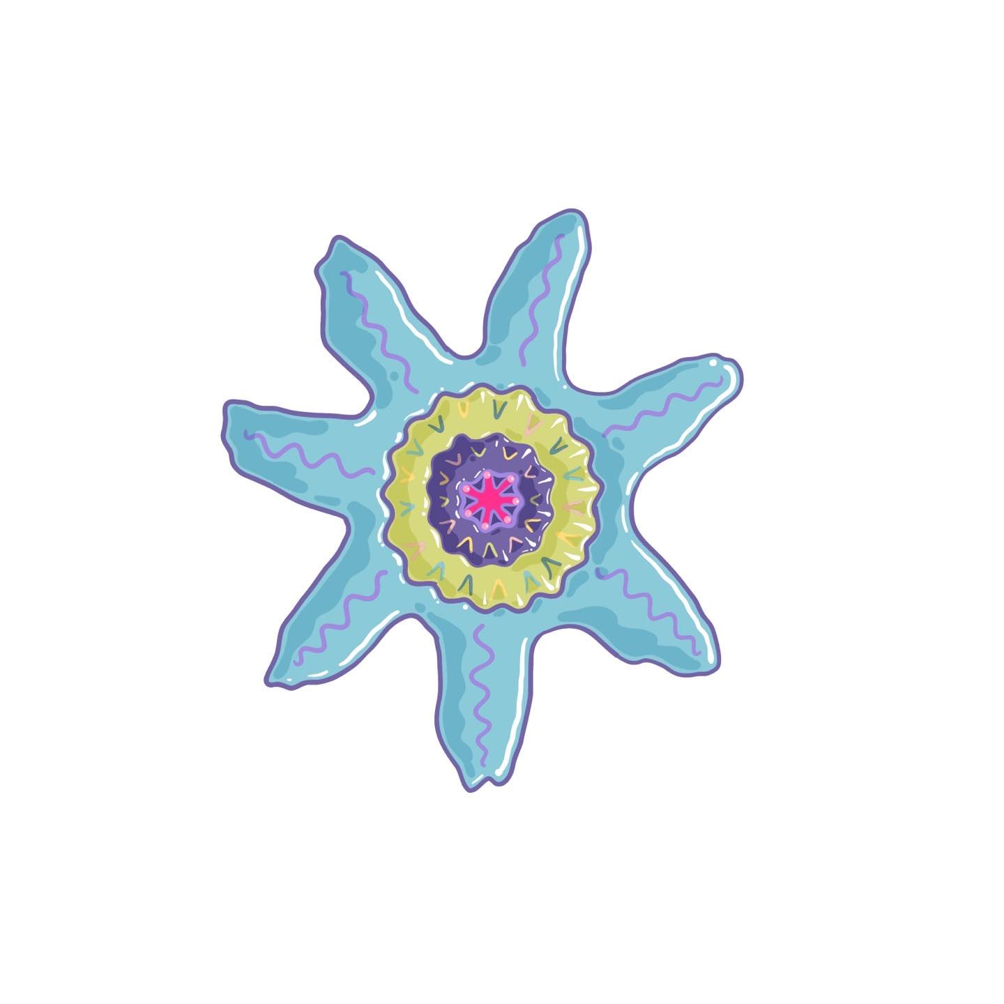 ~ 031 ~ diatoms ~ used to be obsessed with symmetry. Like to the point that if I licked a tooth on one side to clean up some food there, I would immediately lick the other side too, even though it had no food stuck. Now I&rsquo;m more in love with th