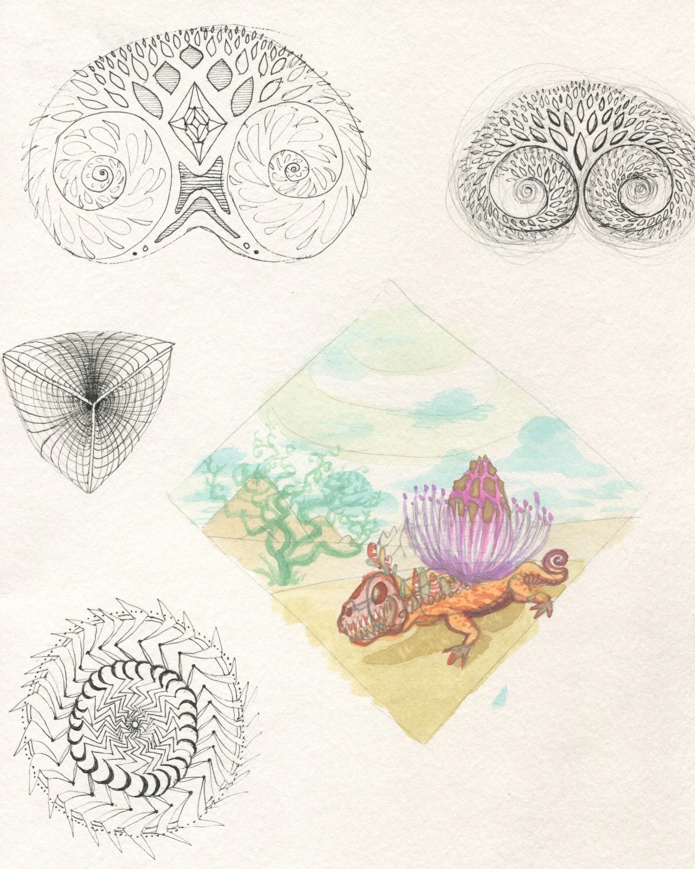 pen + watercolour - pattern study