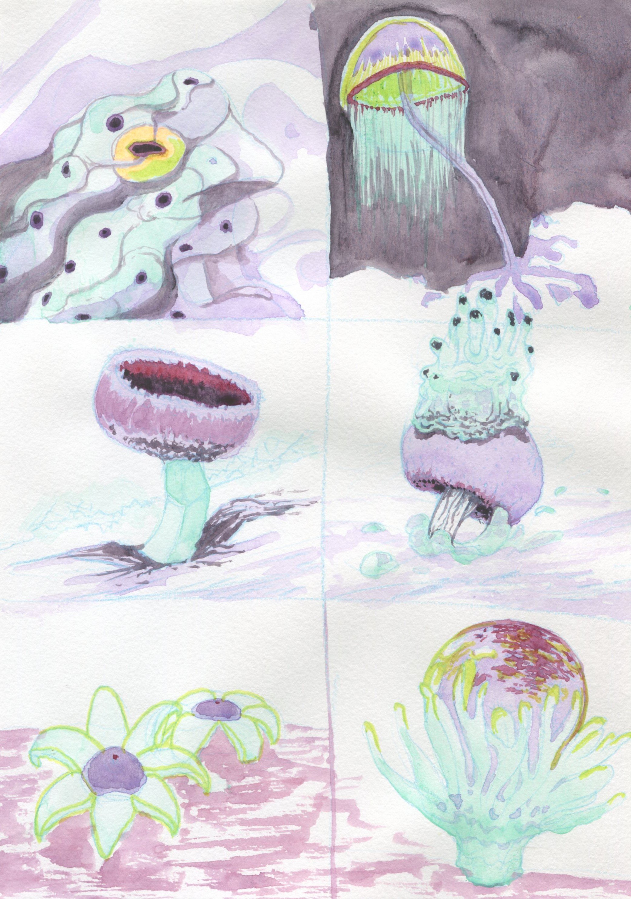 Colour study of slimy things. Watercolour + highlighter