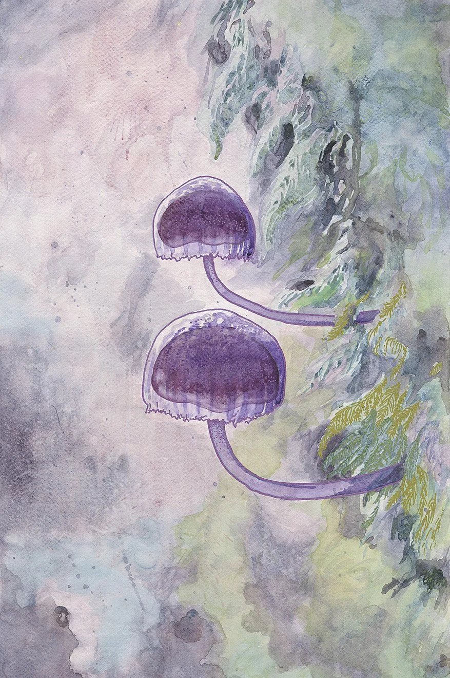 Poise & Promise - watercolour