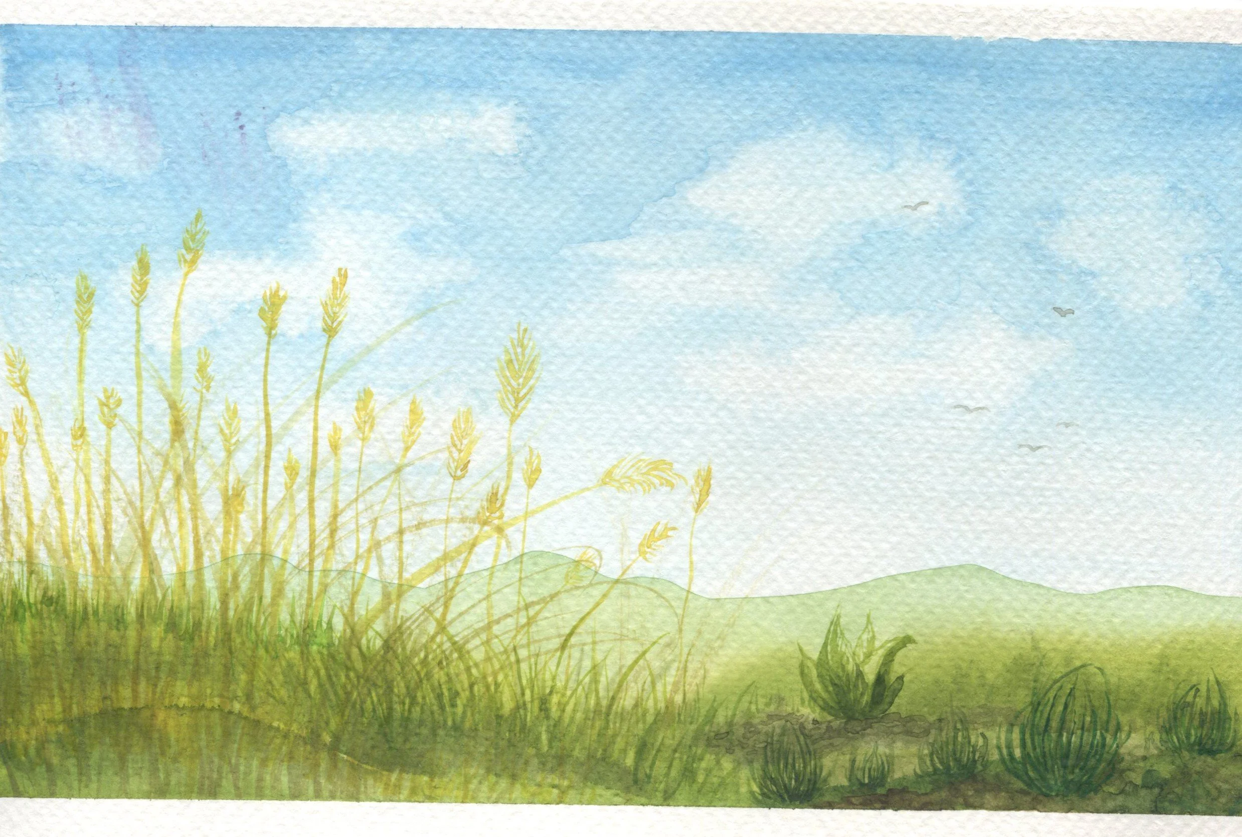 watercolour landscape study - reminds me of home on the Alberta prairies